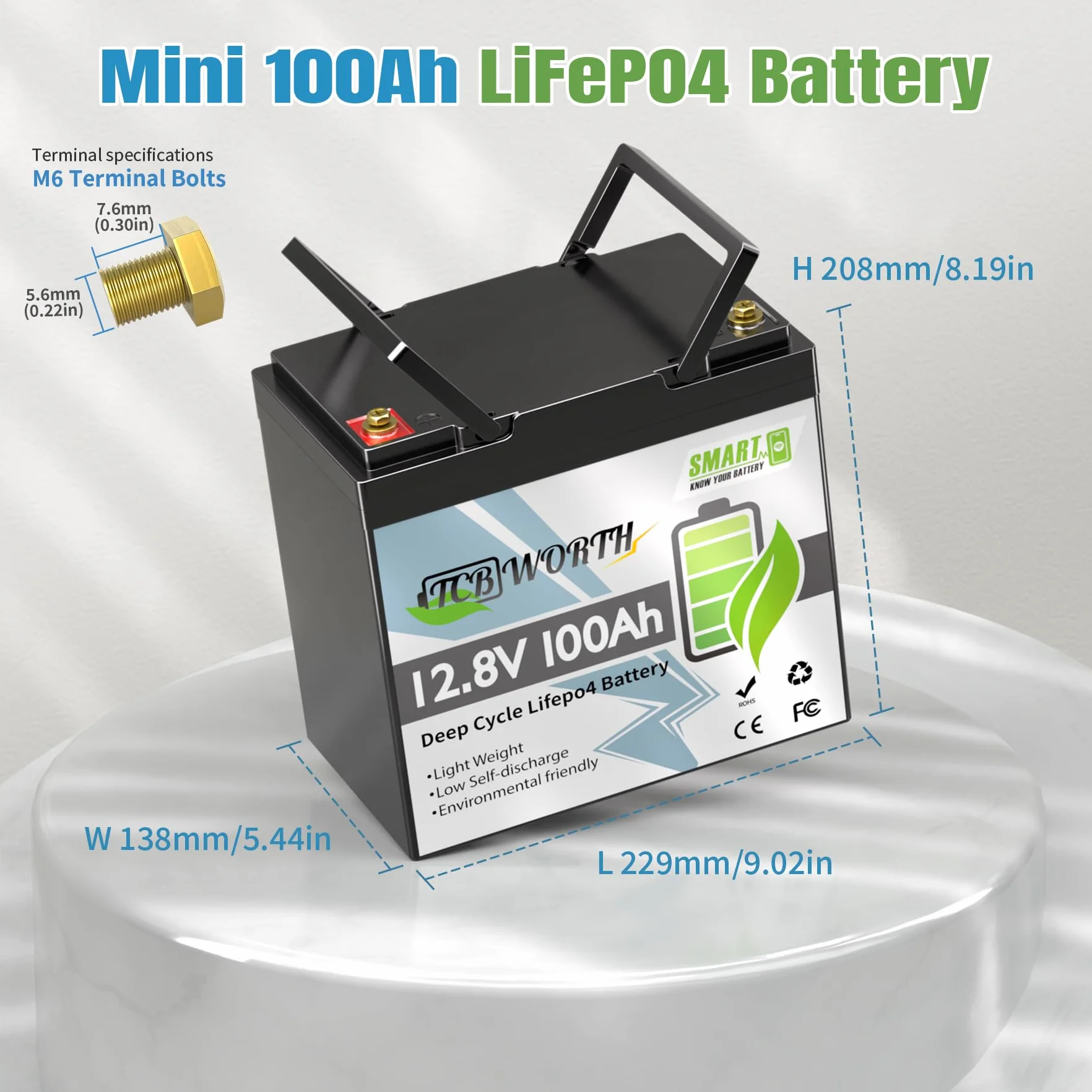 TCBWORTH LiFePO4 12V 100Ah Bluetooth Batterie al Litio 100A BMS, a Bassa Temperatura e 4000+ Ciclo Profondo, 1280Wh per Camper, Barca, Casa, Kit di Pannelli Solari, Campeggio