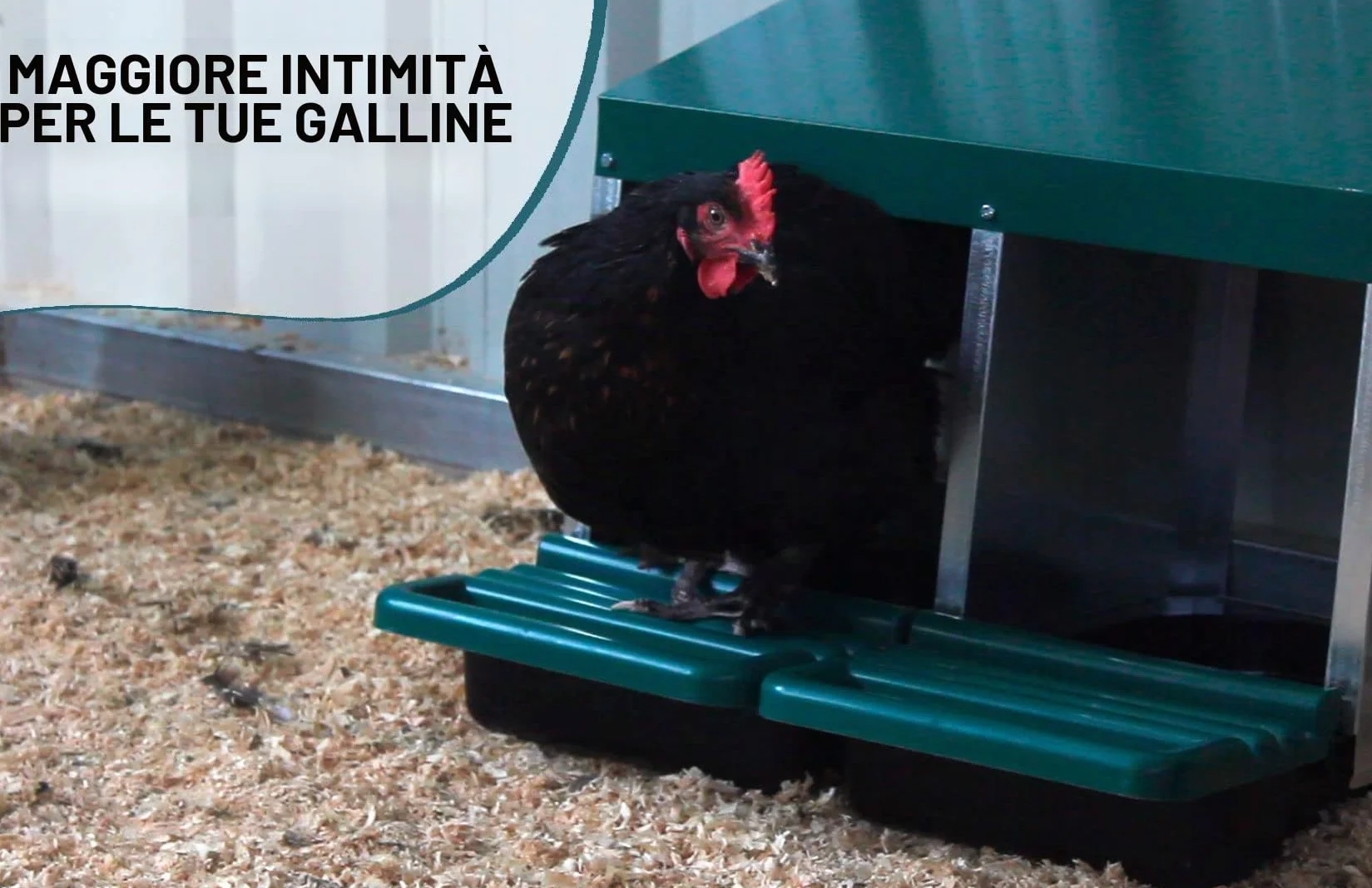 FINCA CASAREJO Nido per galline 3 Scomparti + 3 Uova Finte e Guida Pratica Sulle Uova di Galline