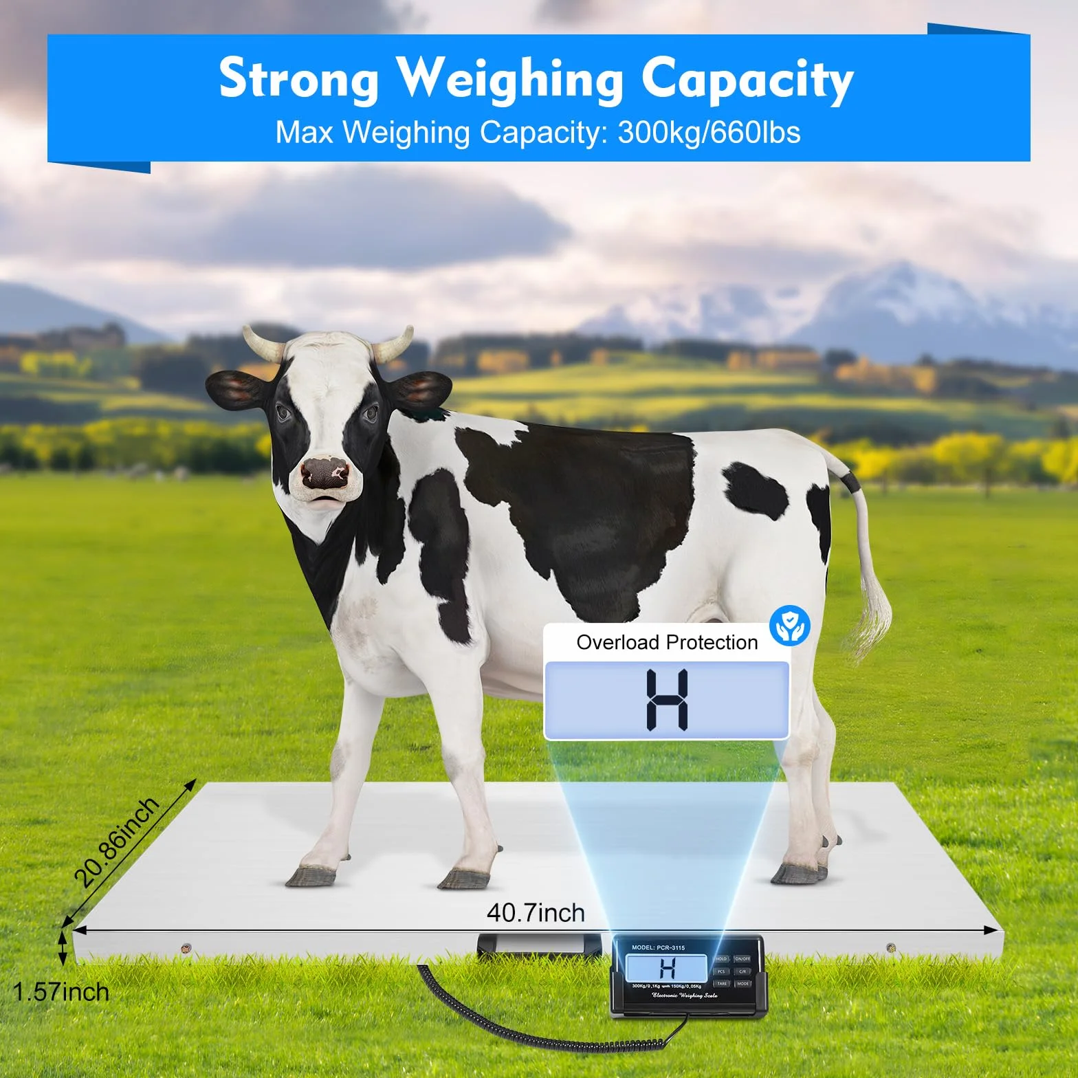 Bilancia per animali, grande precisione con schermo digitale LCD, bilancia per cani, fino a 300 kg, due modalità di pesatura, 103,5 x 53 x 4 cm