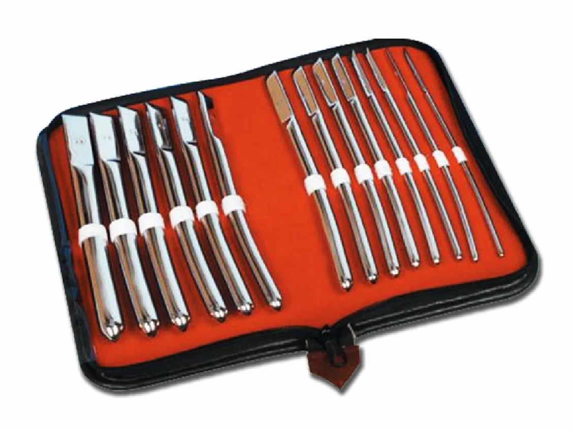 GIMA Set Ginecologia di Dilatatori di Hegar, Include 14 Dilatatori Cromati con diametro da 4 a 17 mm, in Pratica Custodia Porta Strumenti