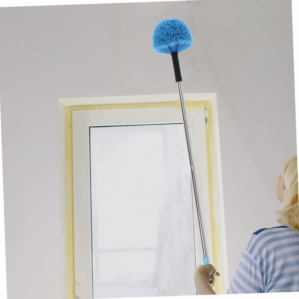 Spazzola per Ragnatele Design Sferico 2 Pezzi