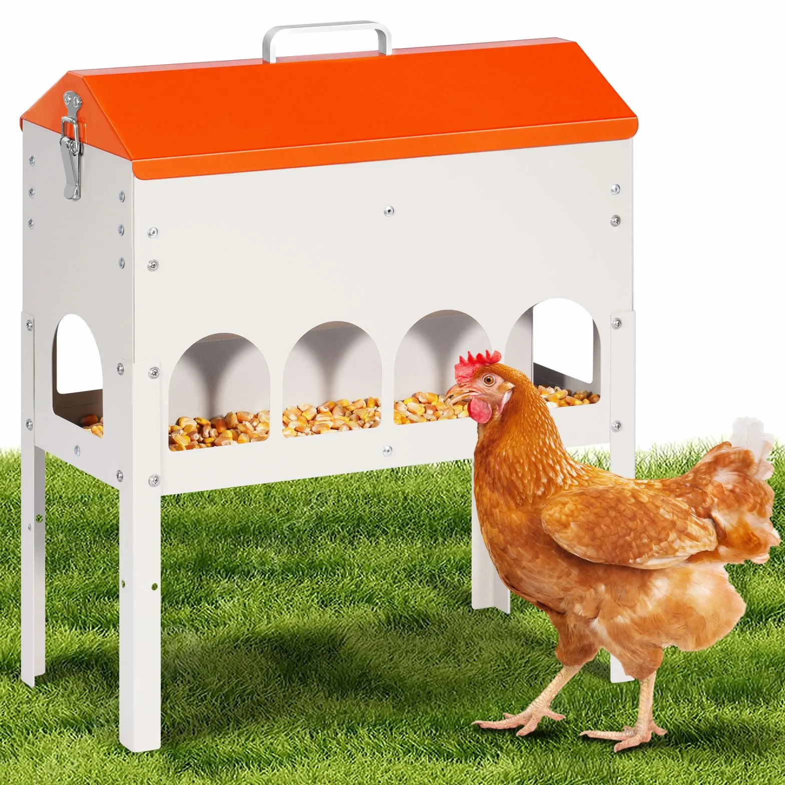 Mangiatoia Automatica Per Galline, 5kg, Distributore Automatico Di Mangime Per Polli, Alimentatore Per Anatre E Piccioni, Può Essere Sollevato, Antispreco, Accessori Per Pollame