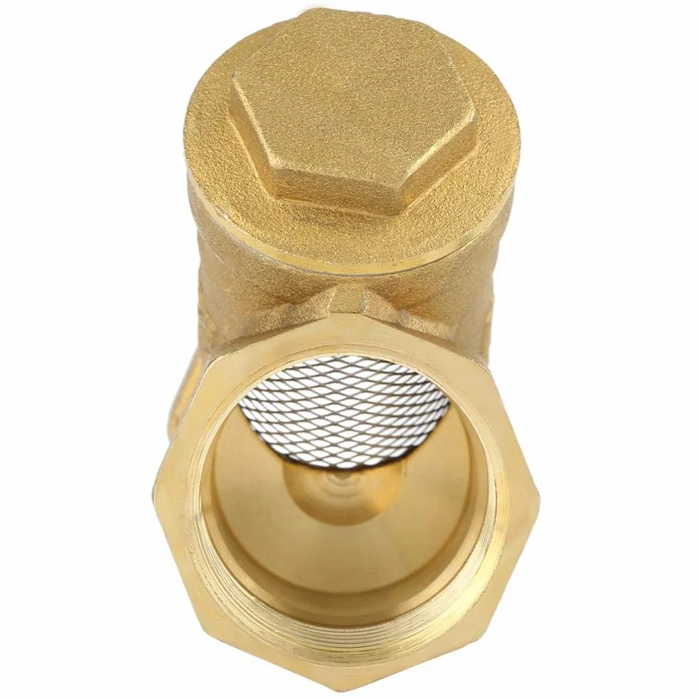 Connettore filettato femmina da 1 "BSPP con filtro in ottone con filtro a valvola