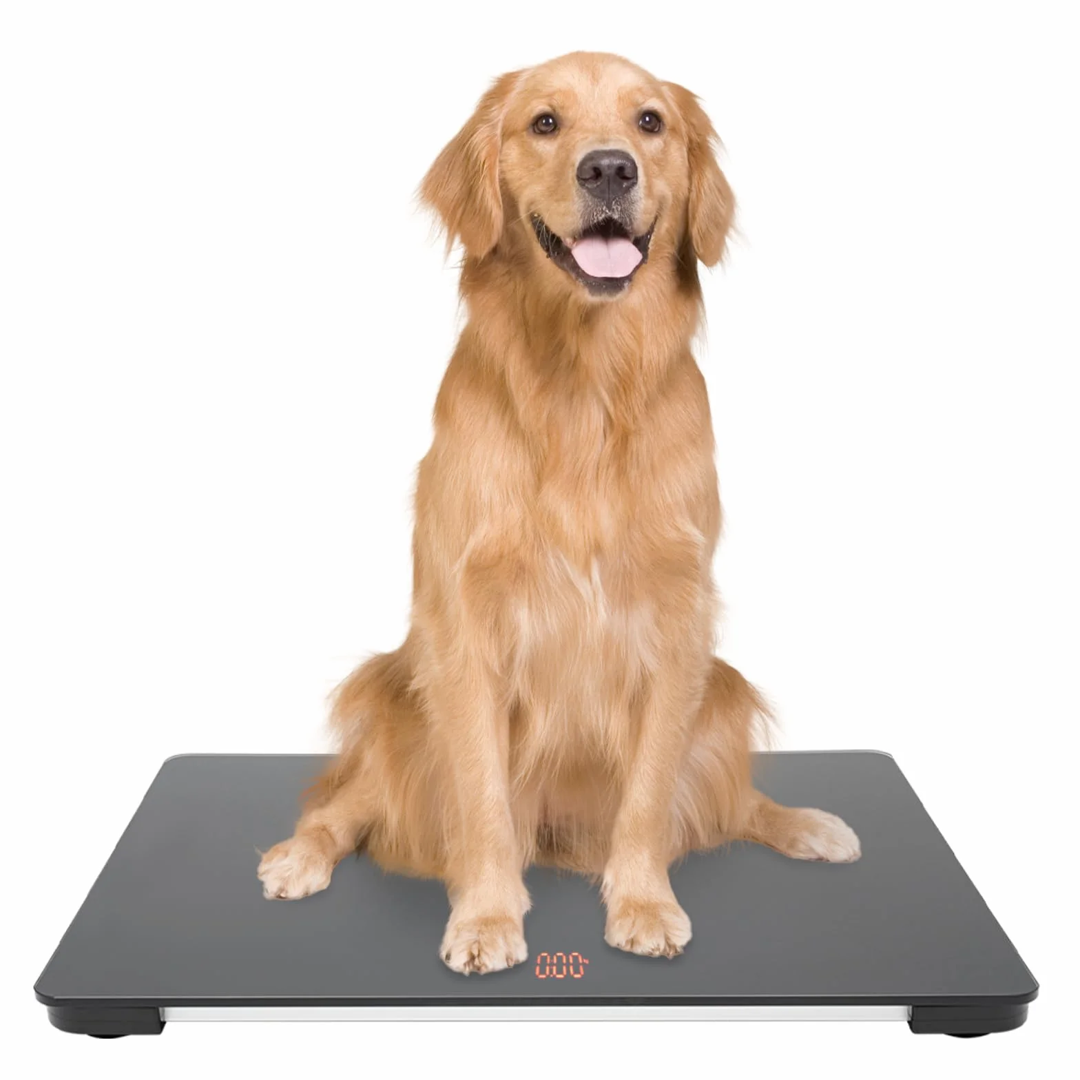 Bilancia per cani XL digitale misura fino a 100 kg, piatta con vetro, 3 modalità, per piccole e grandi dimensioni