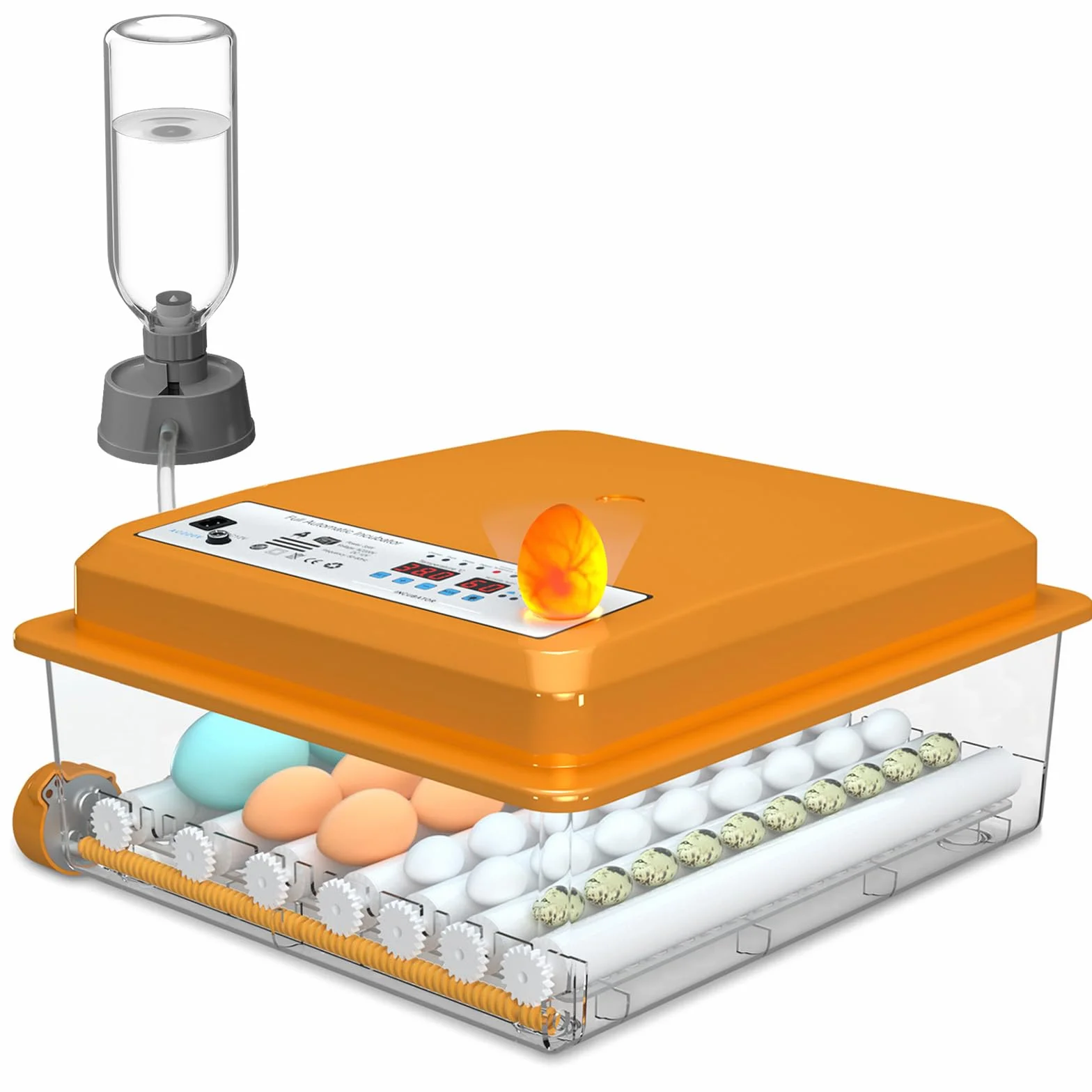 Incubatrice per Uova Automatica, Incubatrice per 36 Uova Gallina con Controllo Temperatura, 5 Modalità di Incubazione Automatica, Display Umidità, Riempimento Automatico dell'acqua e Girando