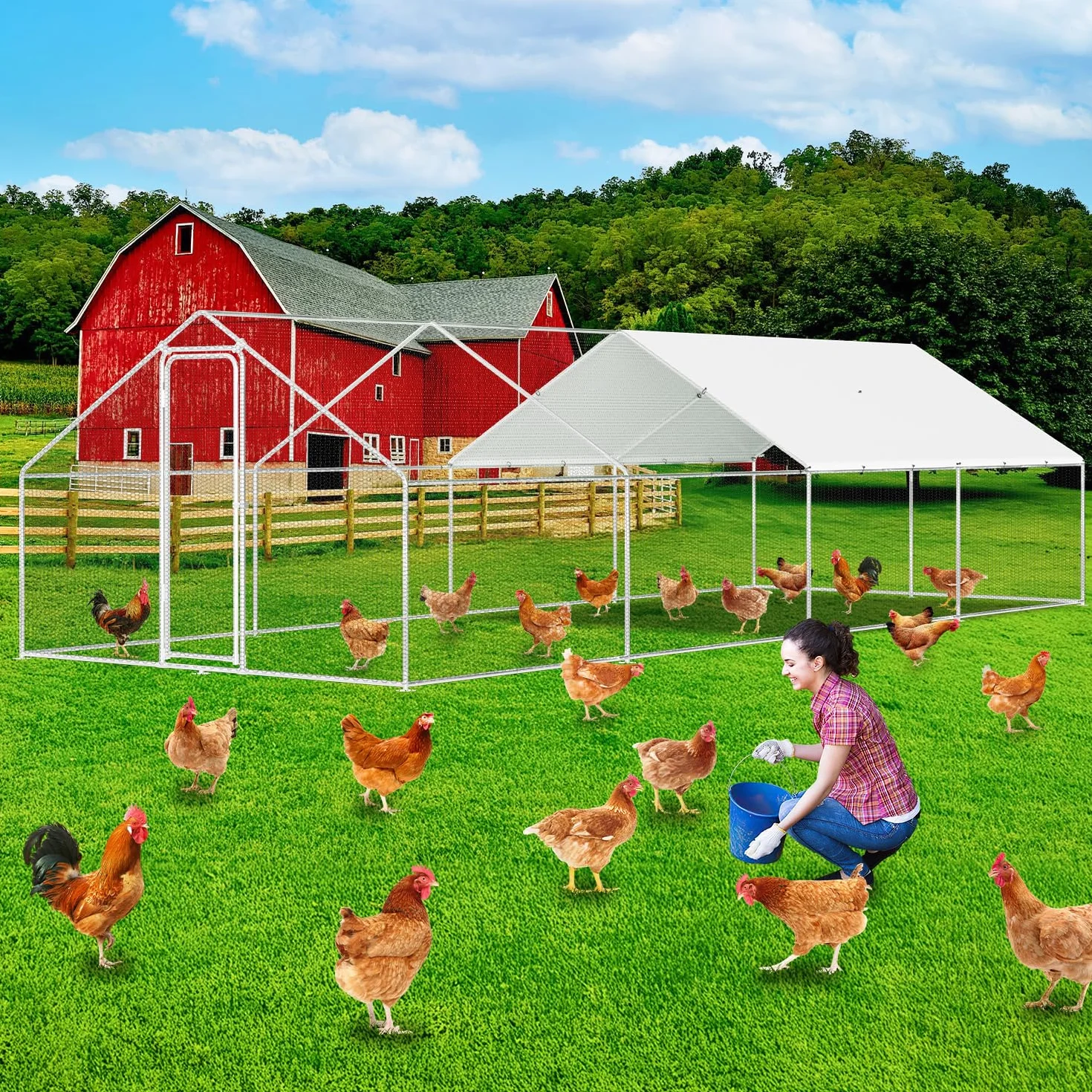 Randaco 3 x 8 x 2 m, gallina a ruota libera, XXL in acciaio zincato, con tetto parasole e porta per animali domestici, gabbia per uccelli, piccoli animali, con lucchetto