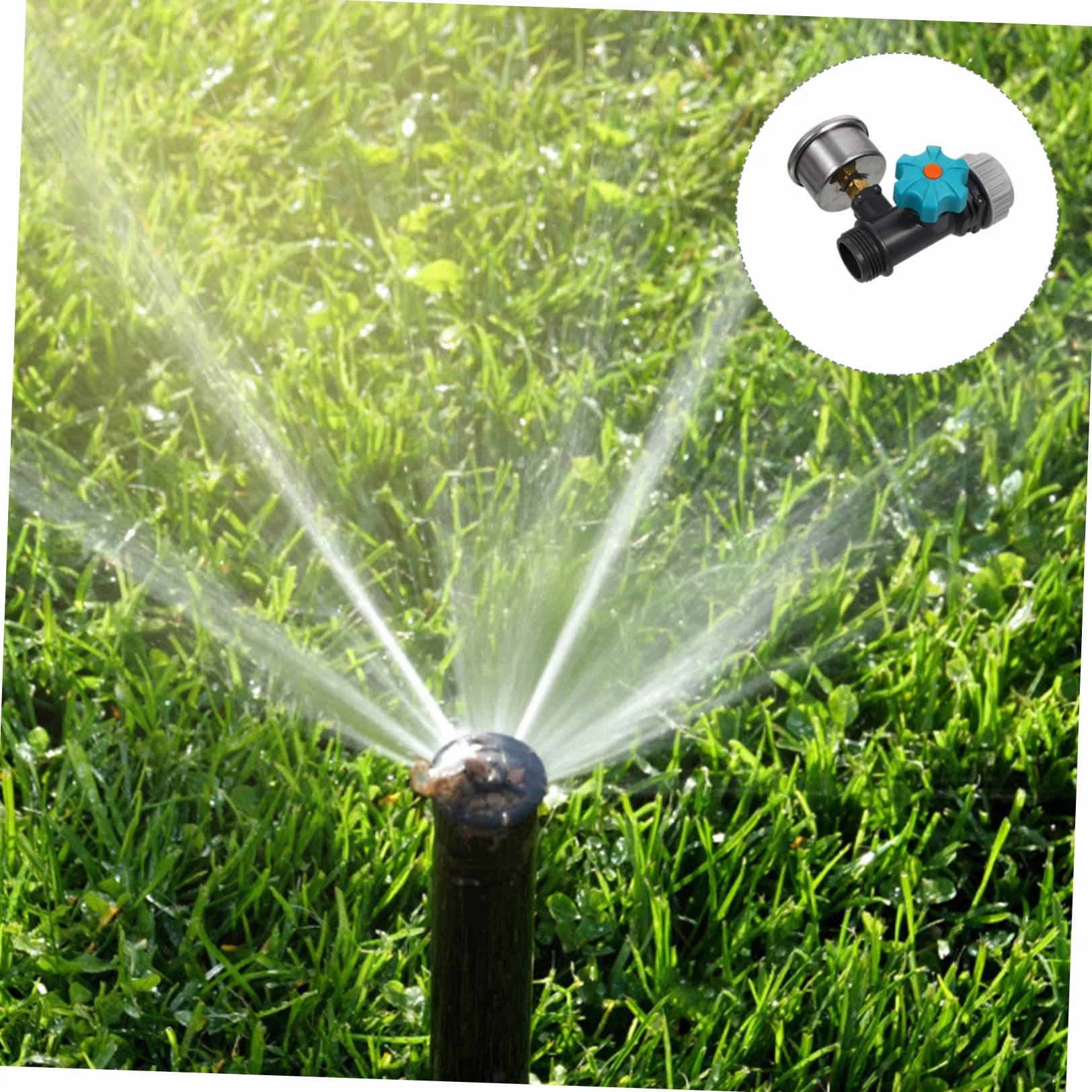 Alipis 2 Pezzi Regolatore Pressione per Giardinaggio Manometro Portatile e Preciso per Irrigazione Perdite Adatto Tutti gli Utenti