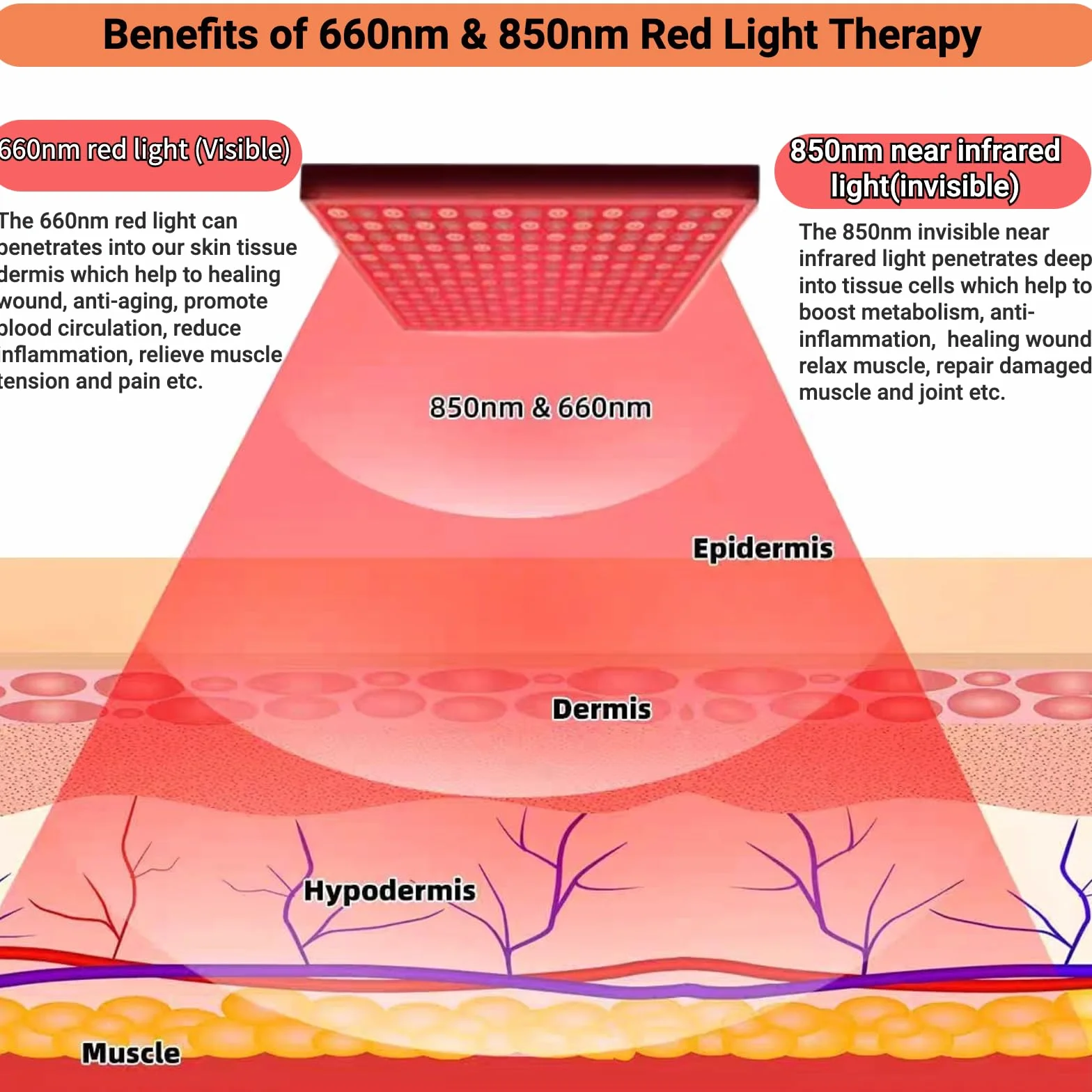 Lampada a luce rossa per la copertura di tutto il corpo, pannello a infrarossi, 225 LED 660nm e 850nm, 31x31 cm, 5 livelli di luminosità e 6 timer, con modalità pulsata a 10Hz (Bianco)
