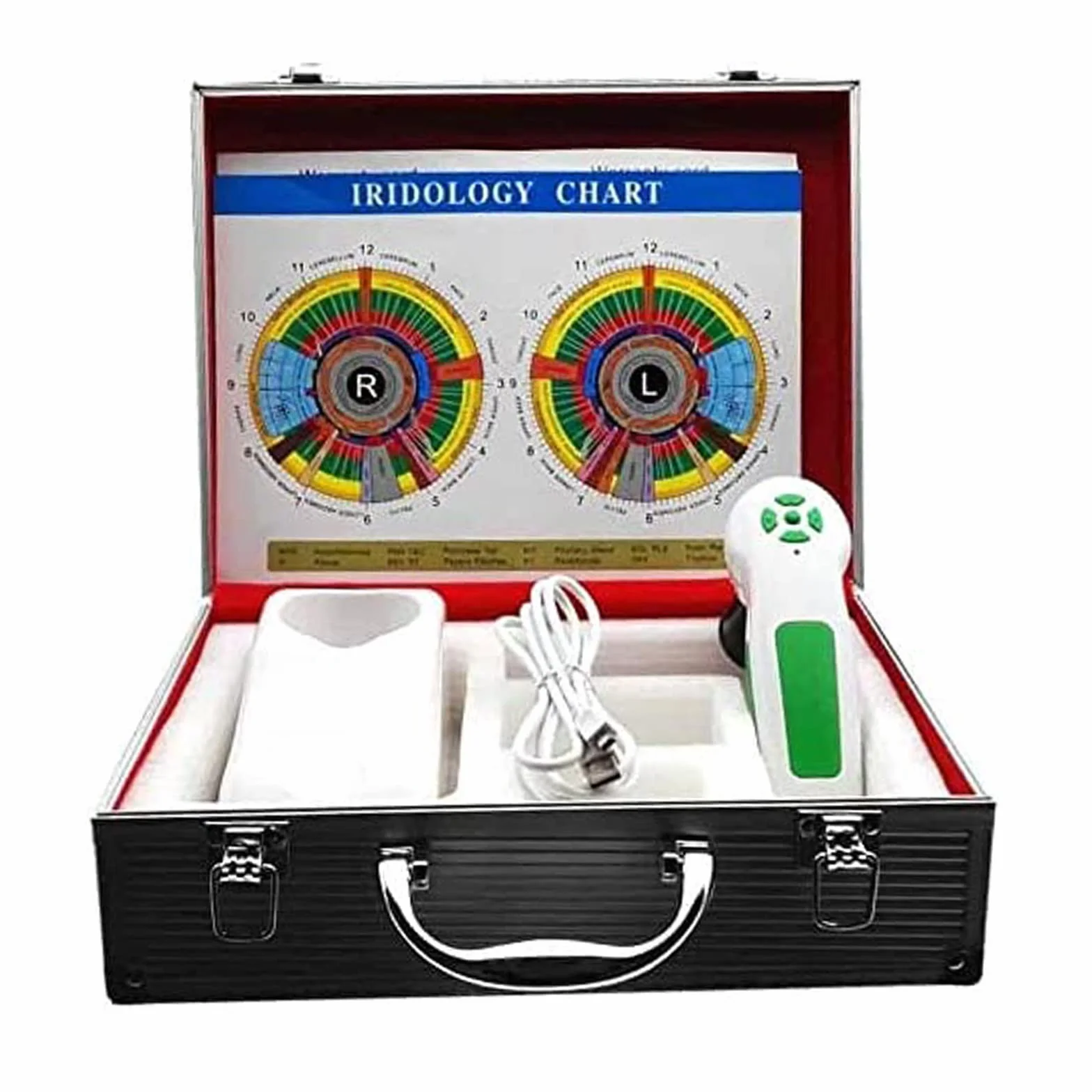 Analizzatore dell'iride Iridologia, Fotocamera per iridologia, Alta Risoluzione USB Iriscope Eye Camera, Iriscope con 30x Iris Lens e Software di Analisi