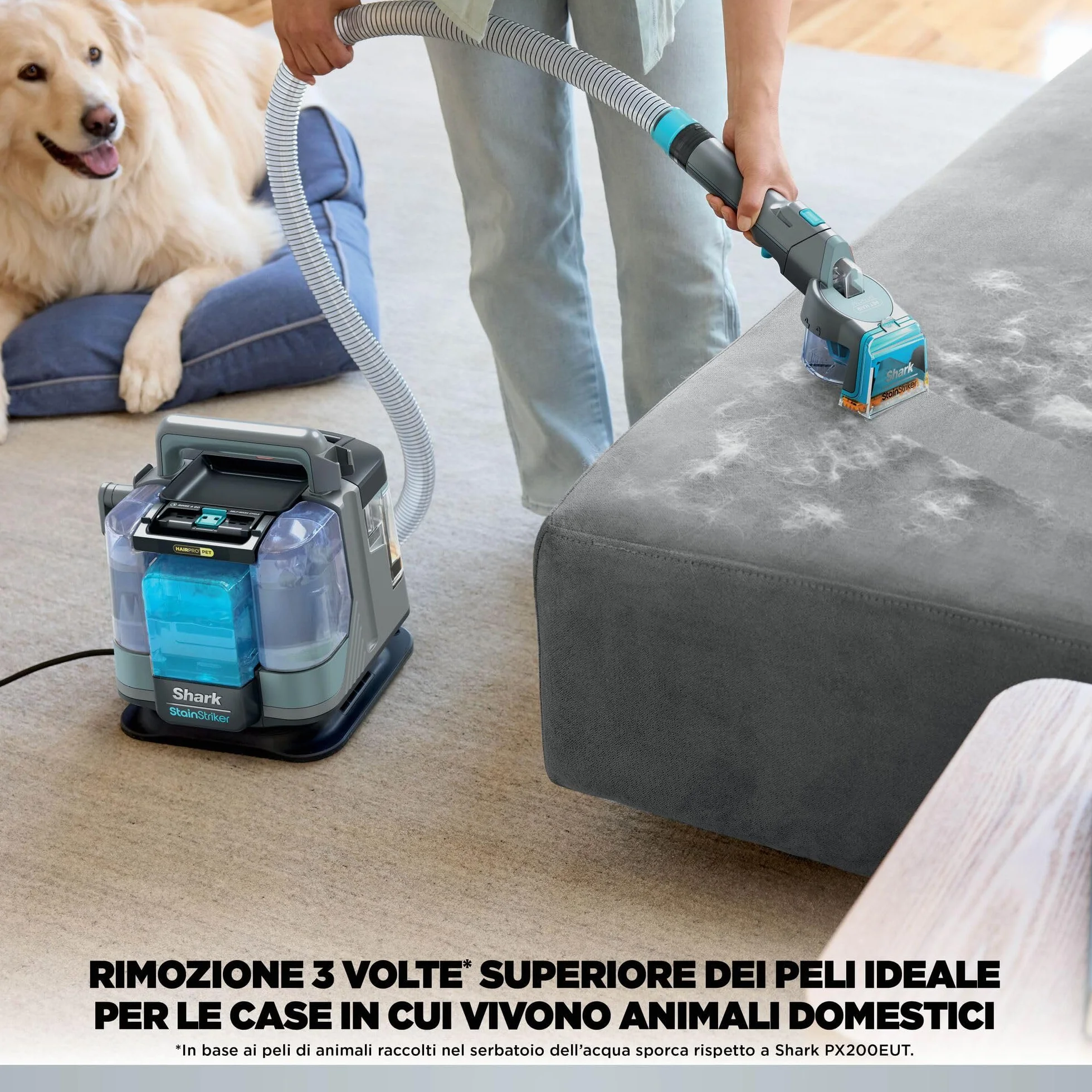 Shark StainStriker HairPro Pet - Pulitore per Tappezzeria e Smacchiatore, 450 W - Adatto a Case con Animali Domestici e Fessure Difficili - 5 Accessori, 2 Detergenti - Modello PX200EUCP