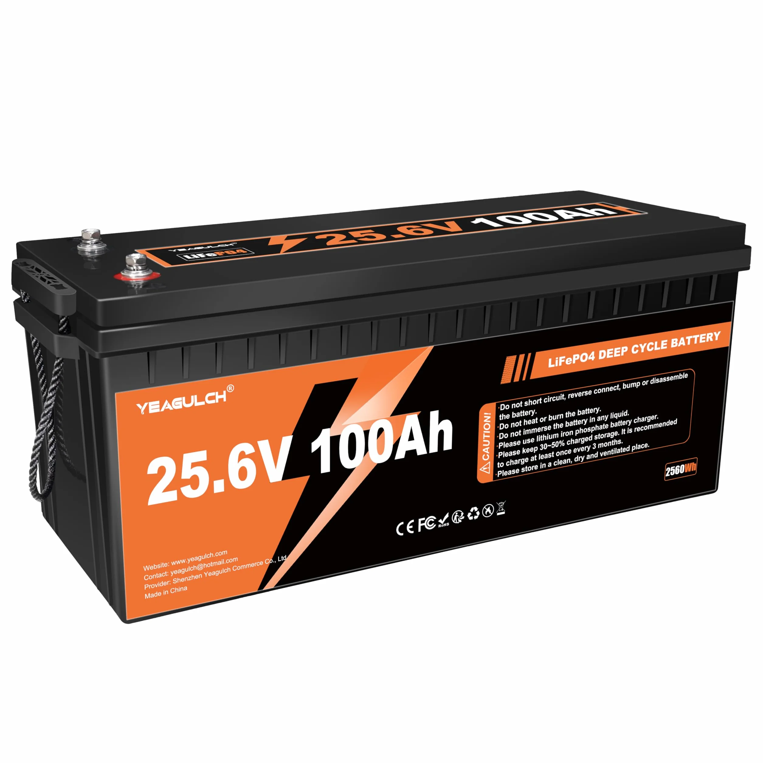 Yeagulch 24V 100Ah Batteria al Litio LiFePO4, BMS 100A, 2560Wh | 15000 Cicli, per Sistemi Solari, Camper, Accumulo Domestico Off-Grid
