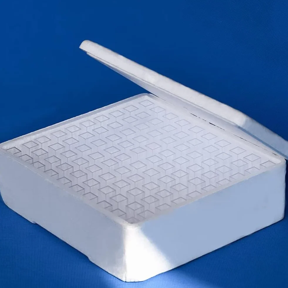 Cuvette in polistirolo monouso da 4,5 ml per spettrofotometria, 100 pezzi
