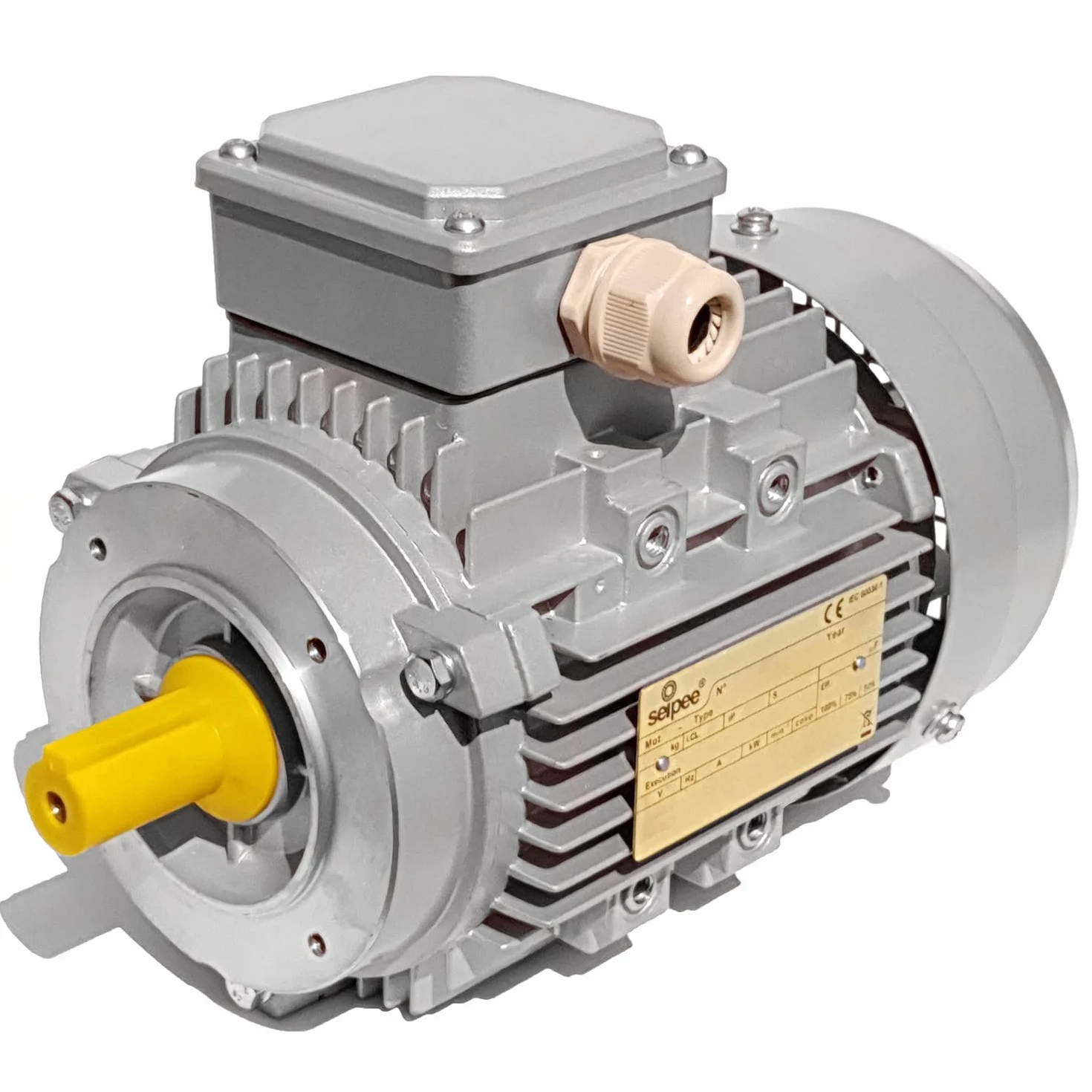 Motore elettrico Trifase 4.0 kW 5.5 HP 1400 giri B14 MEC 100 230 400V