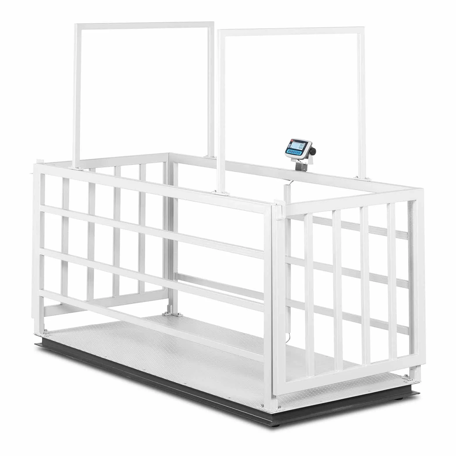 TEM Bilancia a Piattaforma per Animali Bilancia Tarata AEK+C110X2403000-4LC-CHK (500 g (0-1.500 kg) / 1 kg (1.500-3.000 kg), Acciaio, Ferro)