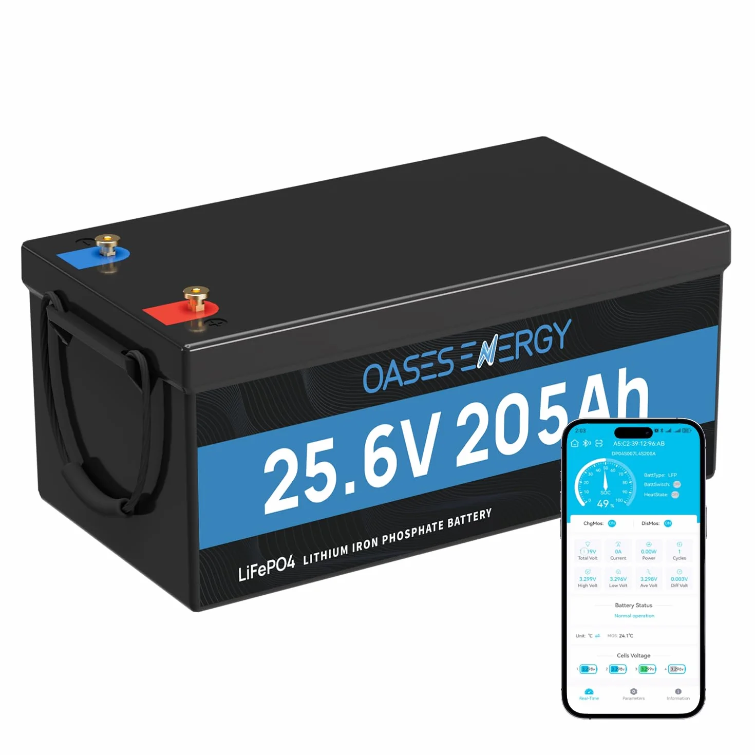 Batteria LiFePO4 da 24V 200Ah con BMS da 200A e protezione a bassa temperatura, 4000 – 15000 cicli, batteria al litio da 24V 5120Wh per camper, kit pannello solare, campeggio, barche, memoria