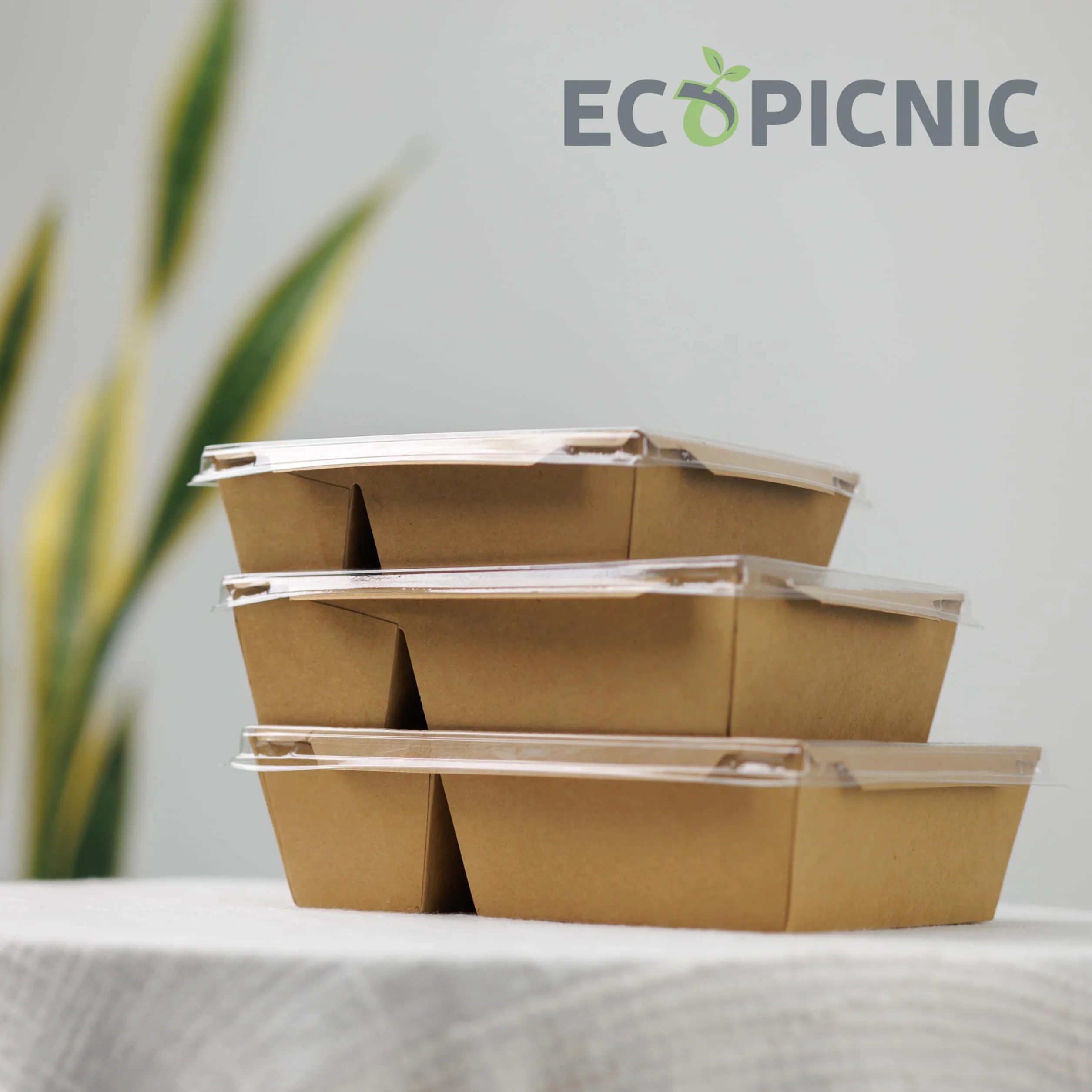 Lanchbox Carta Kraft Coperchio Trasparente 2 Scomparti 1600 ml Confezione 50 Pezzi Scatole Alimenti Asporto