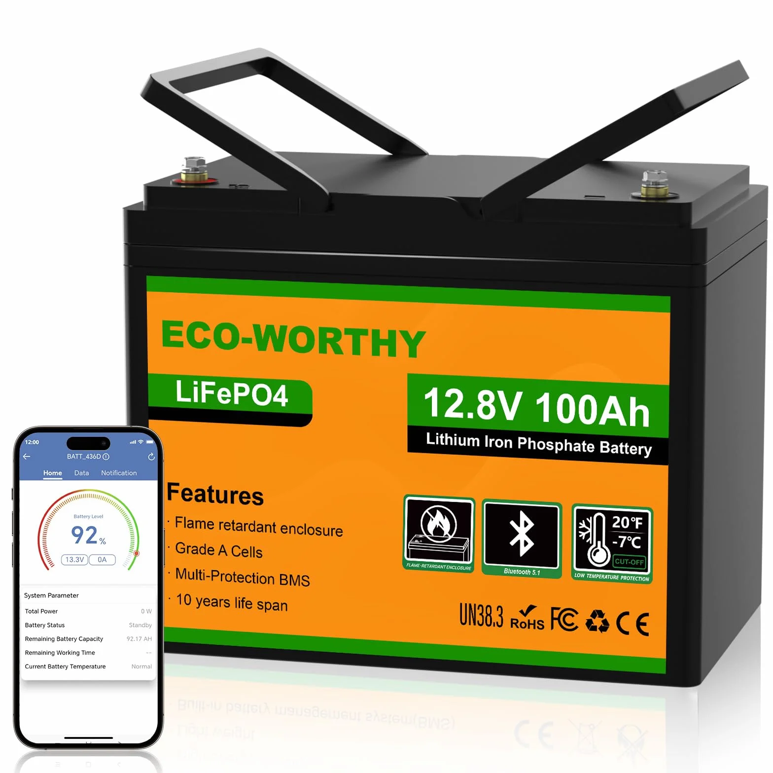 ECO-WORTHY Lifepo4 Batteria al litio Bluetooth 12 V 100 AH, Batteria LiFePO4 con Protezione a Bassa Temperatura, BMS Intelligente, 1280 Wh Energia, per Caravan, Campeggio