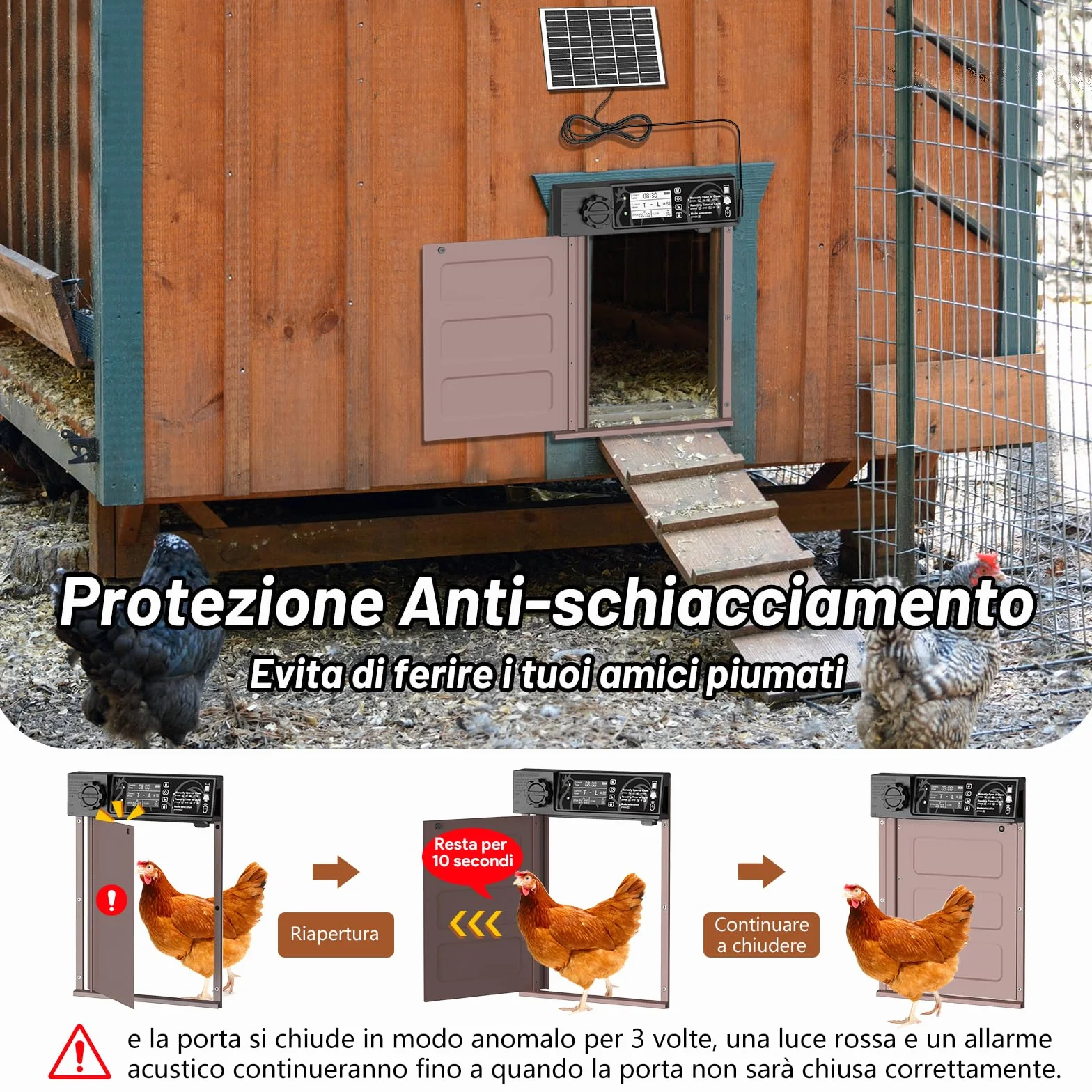 Porta pollaio Automatico con Display, Timer, Antipizzicamento, Impermeabile