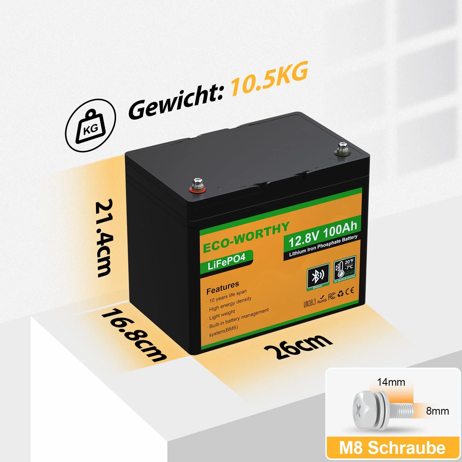 ECO-WORTHY LiFePO4 Bluetooth 12 V 100 Ah con Caricabatterie 12/24 V 20 A, batteria al litio 12 V 100 Ah con protezione BMS a bassa temperatura per camper, barche, roulotte