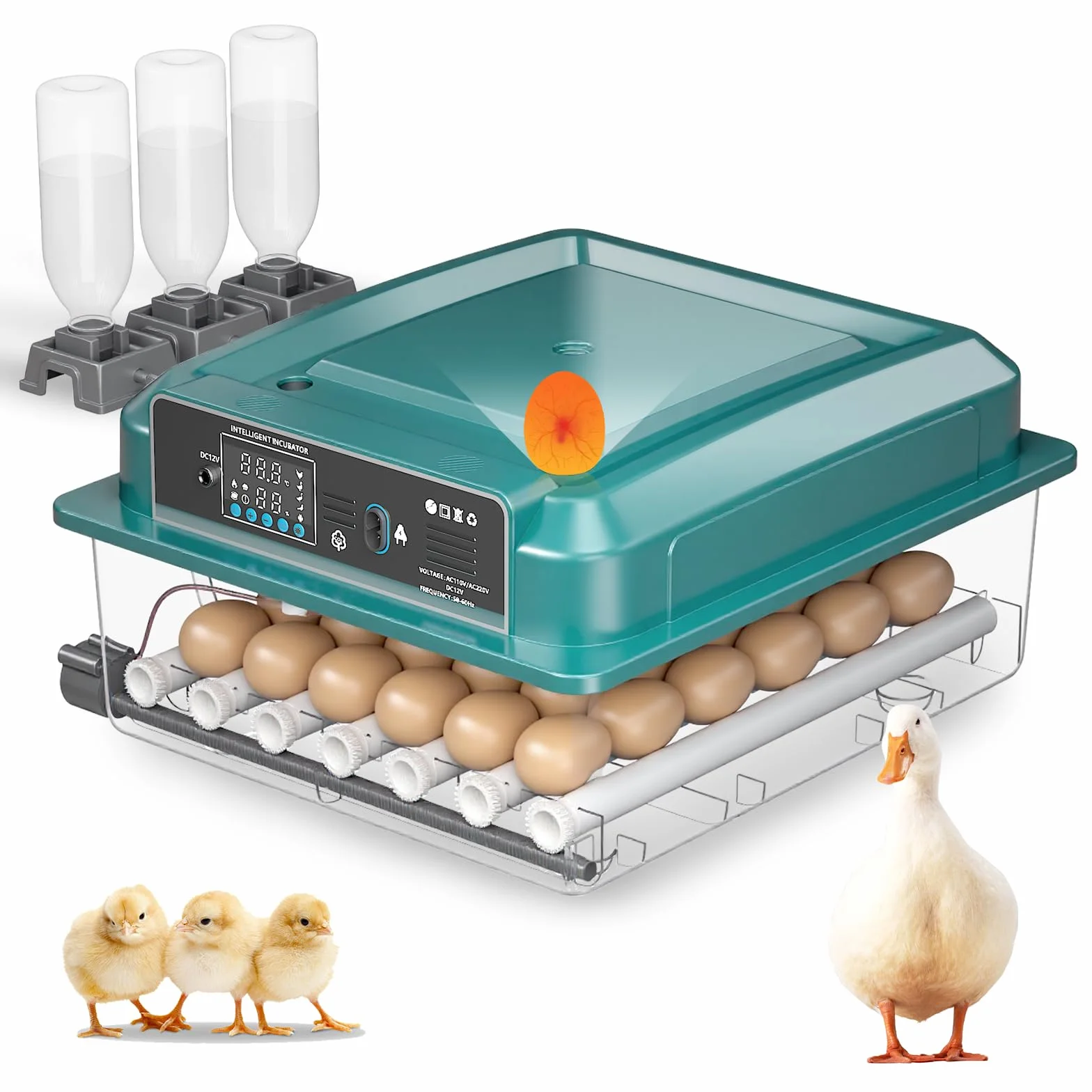 Incubatrice completamente automatica per 36 uova con regolazione della temperatura e rotazione automatica, 4 modalità automatiche, incubatrice per polli, anatre, oche, quaglie, vista a 360° (Verde)
