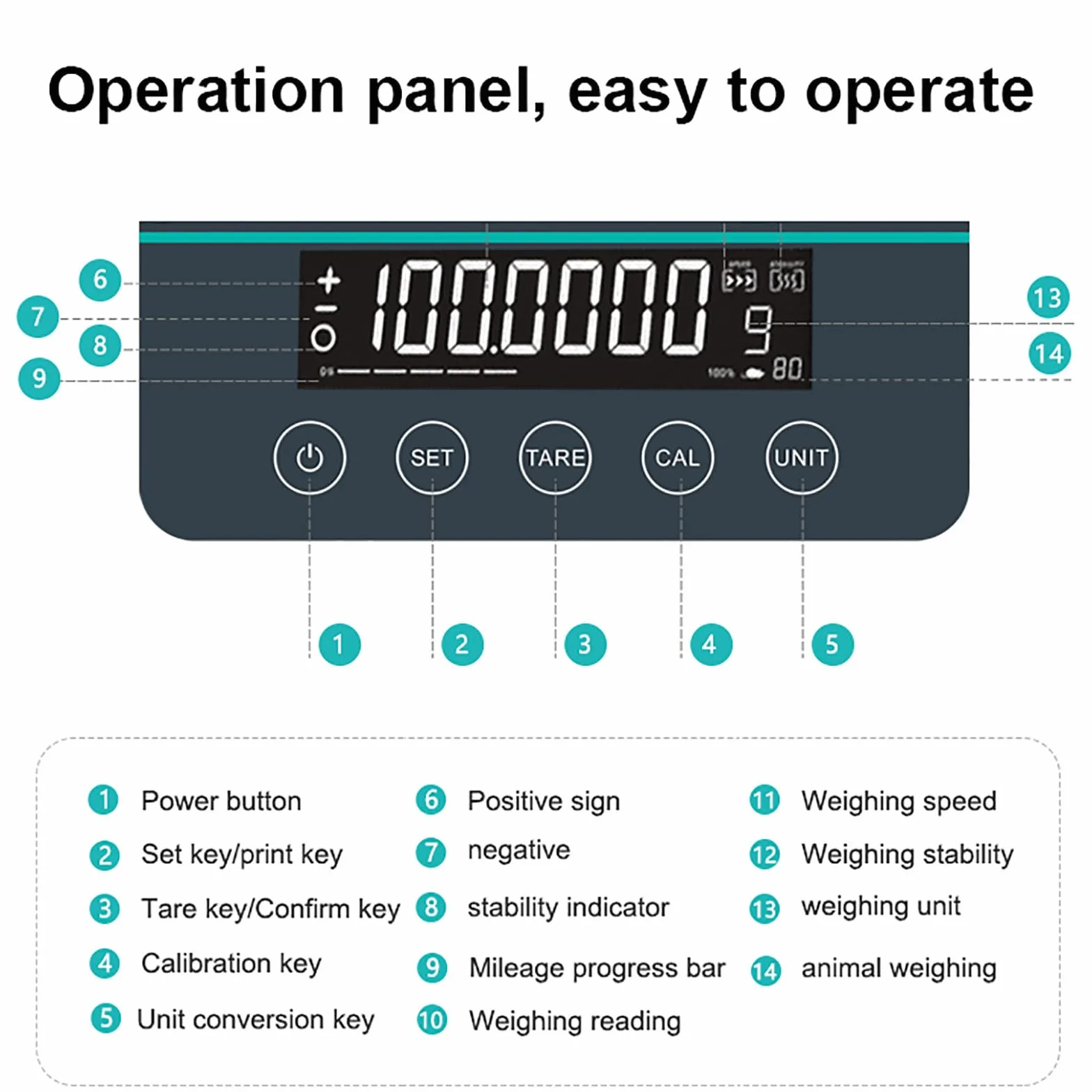 Bilancia Analitica da 100g-220g, Bilancia Digitale da Laboratorio Ad Alta Precisione 0.0001g (0.1mg), Calibrazione Automatica, Display A LED, per Cucina Farmaceutica, Medica, Domestica,100g