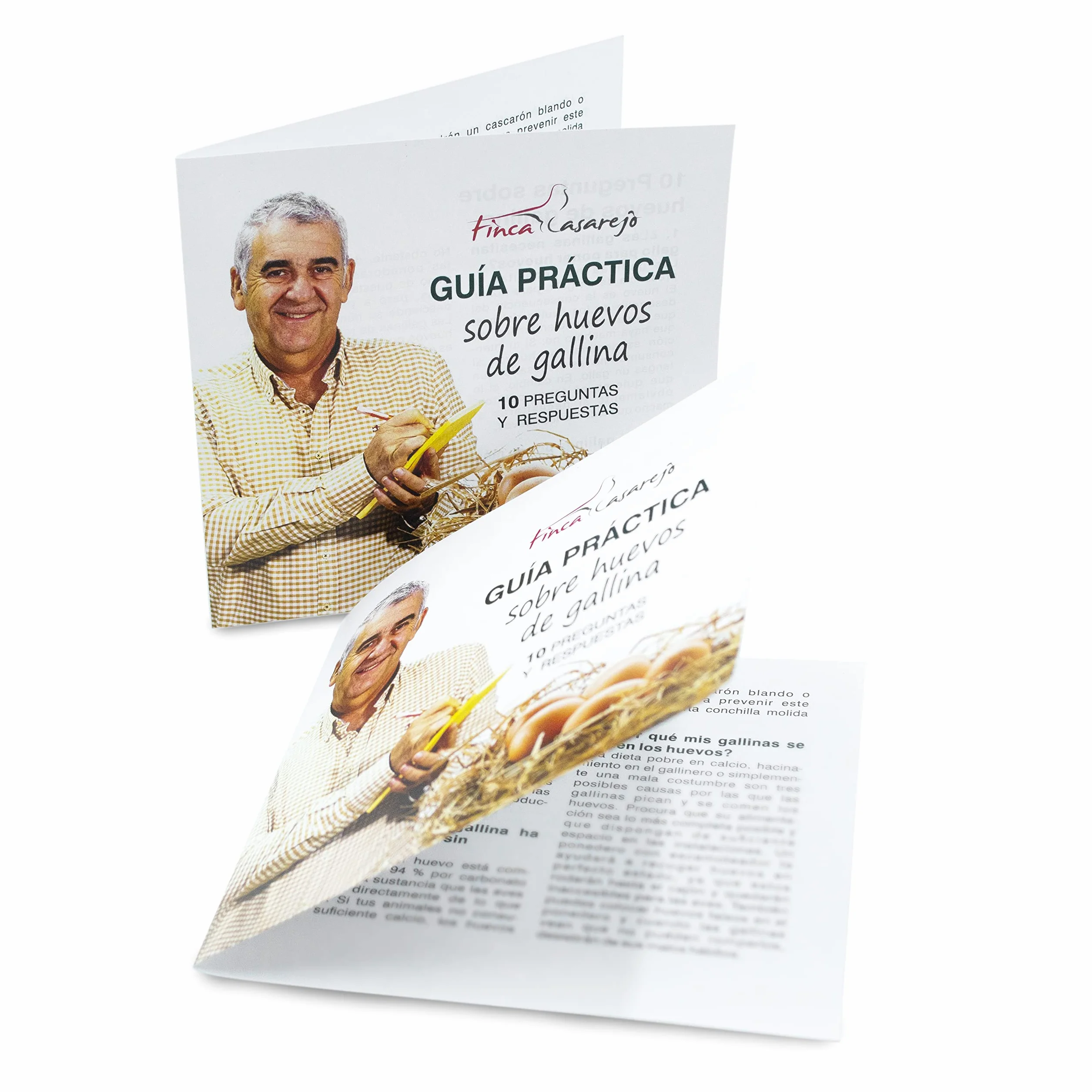 FINCA CASAREJO Nido per galline 3 Scomparti + 3 Uova Finte e Guida Pratica Sulle Uova di Galline