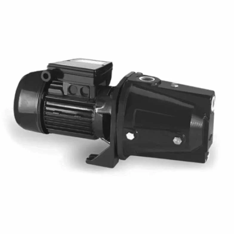 Pompa Acqua Elettropompa Autoadescante 1.5HP 1.1kW Monofase 230V Corpo in Ghisa, Girante in Ottone, Altezza Massima di Aspirazione Fino a 9 metri per irrigazione e Pressurizzazione