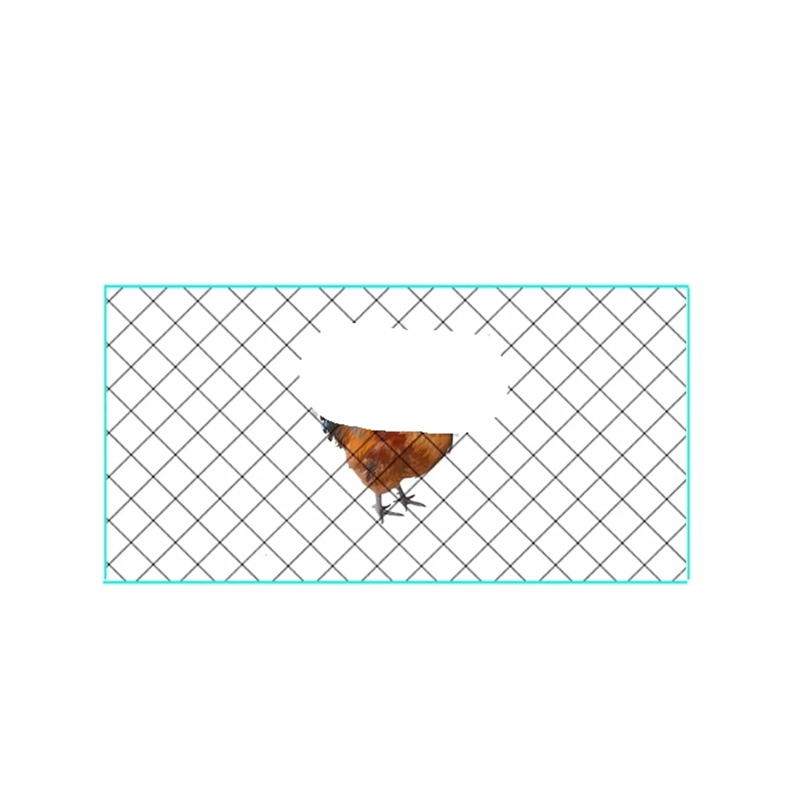 Rete per pollaio Rete di nylon for pollame, recinzione for , rete protezione for laghetto da giardino, agricola, anti-uccelli, lunghezza 10-50 m per Scherma(5X30M)