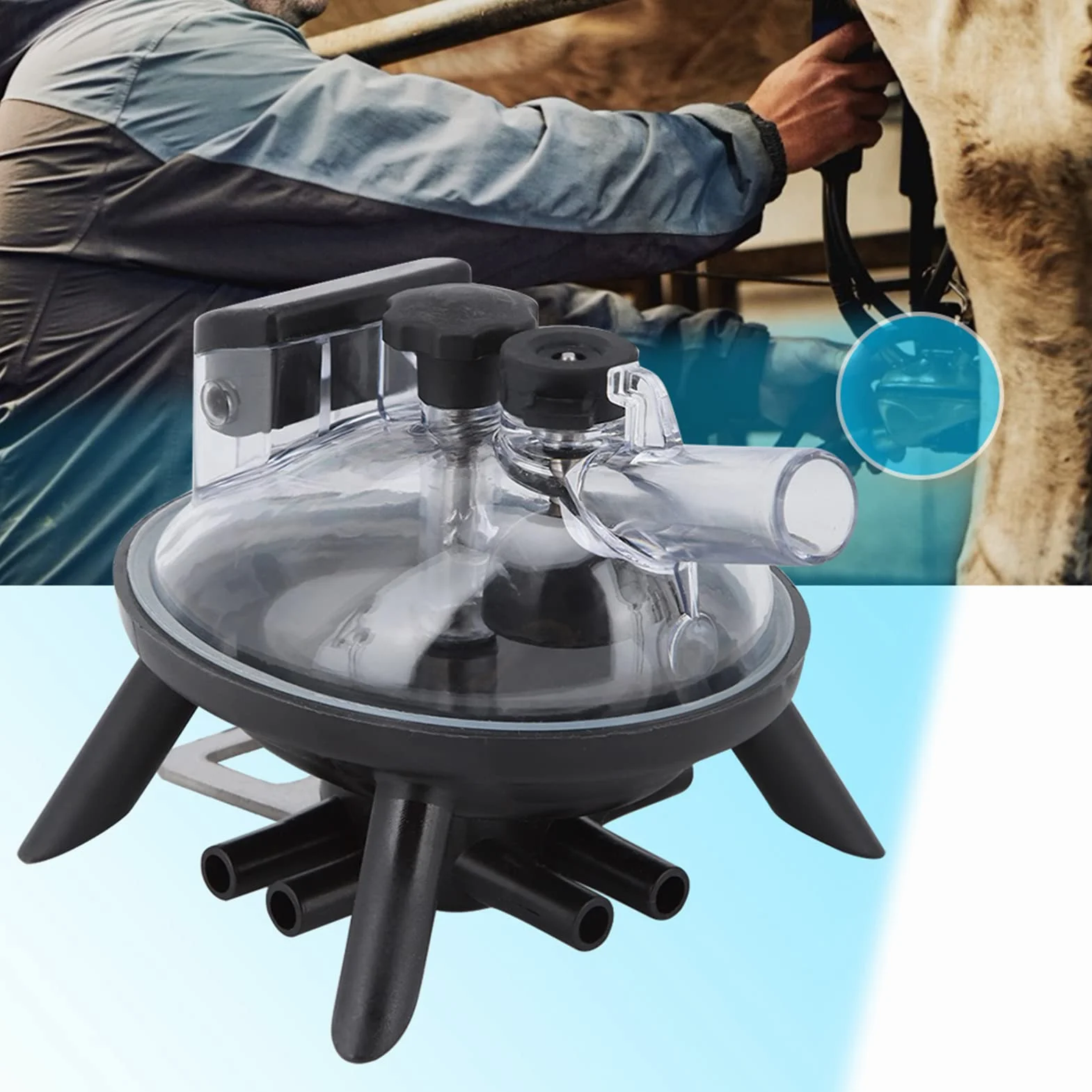 Hztyyier Cluster per Artigli da Latte da 240 CC per Accessori di Ricambio per Utensili Agricoli in Acciaio Inossidabile per Mungitura di Pecore di Mucca Poultry Farming Supplies