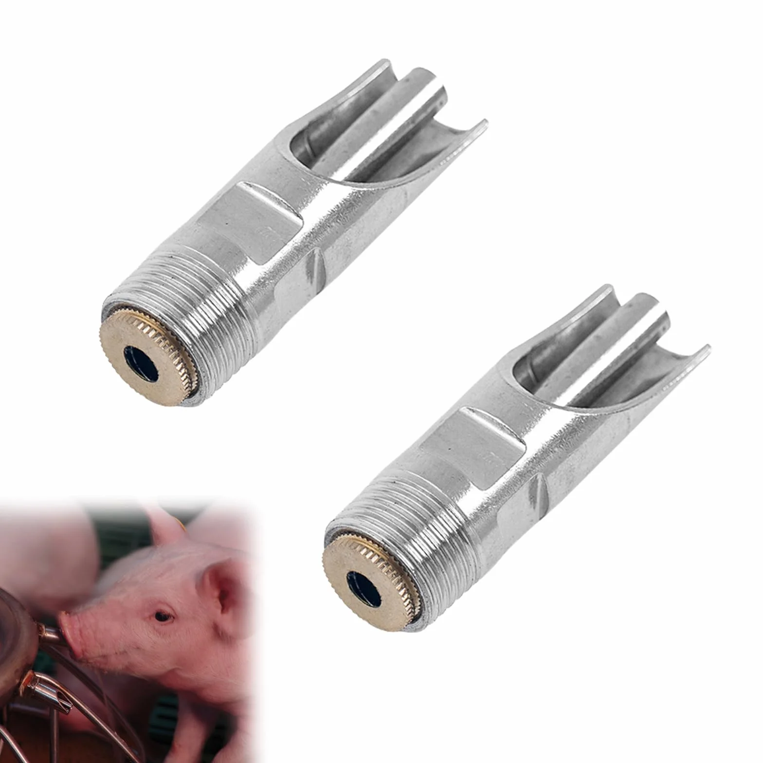 Abbeveratoio per Maiale in Acciaio Inossidabile con Tappo in Rame - Per Suini, Cavallo, Bovino, Capra, Pecora - 2 PCS