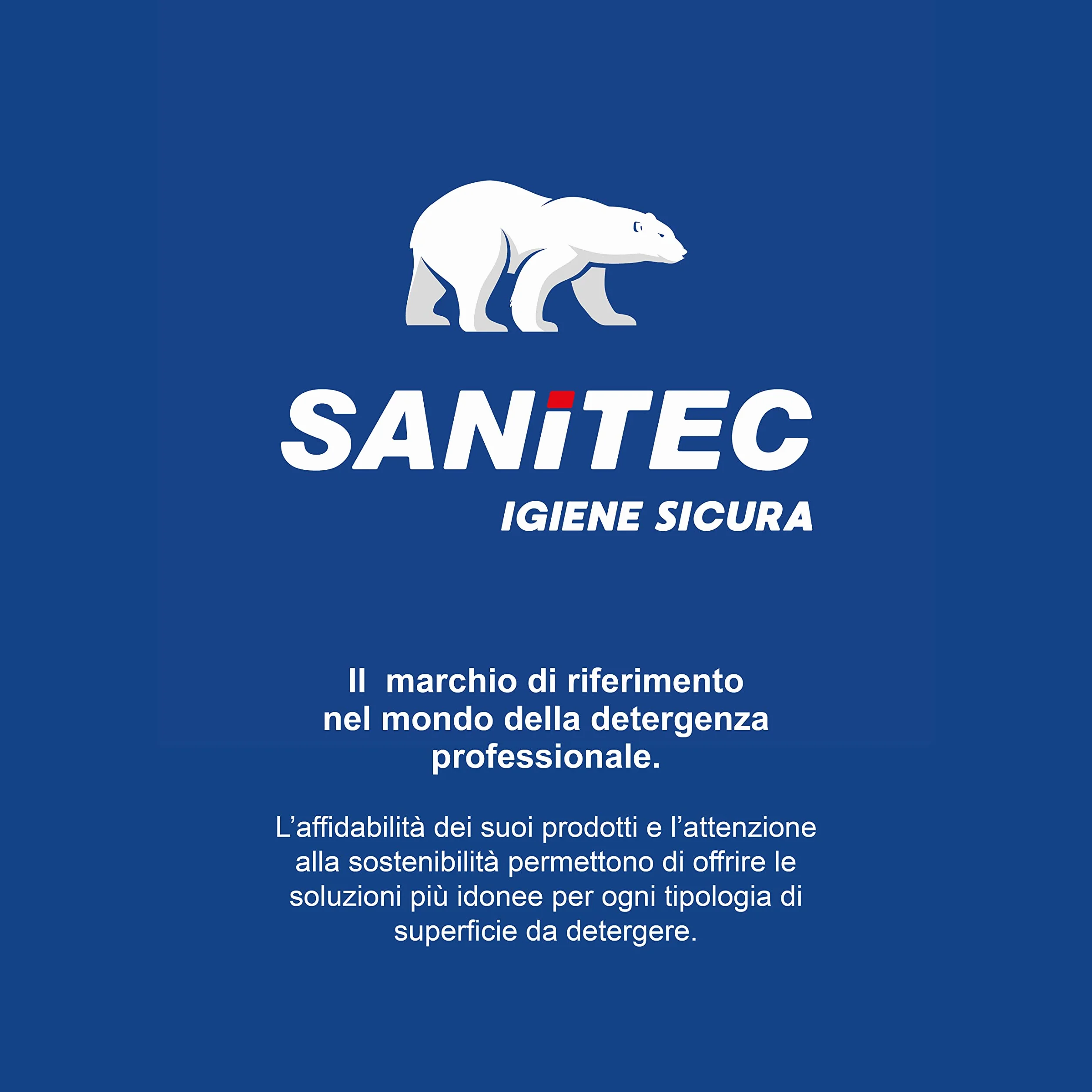 SANITEC igiene sicura Deink, Detergente Profumato, Sgrassante Specifico ed Efficace per Inchiostro, Colla, Grasso e Graffiti, Pulizia Senza Risciacquo e Senza Aloni, Made in Italy, 6 Flaconi 750 ml