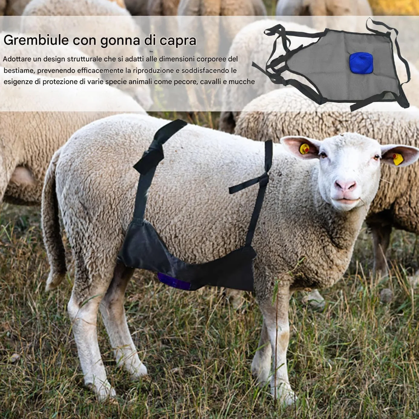 Generico Grembiule Per Capre | Grembiule Anti Riproduzione Per Capre,Attrezzatura Agricola, Strumento Per Evitare La Riproduzione Di Animali Da Compagnia Bovini Bestiame