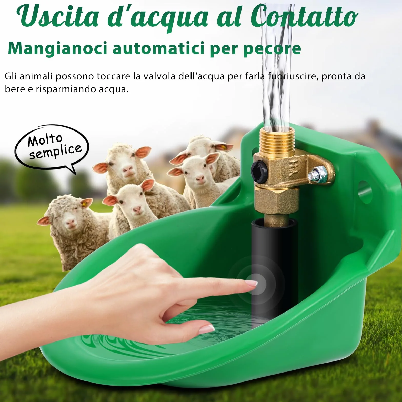 Piscina automatica per pecore, bevitori da bestiame con fori di scarico, approvvigionamento idrico automatico per cavalli, bovini, pecore, suini e cani, beve di salice, verde