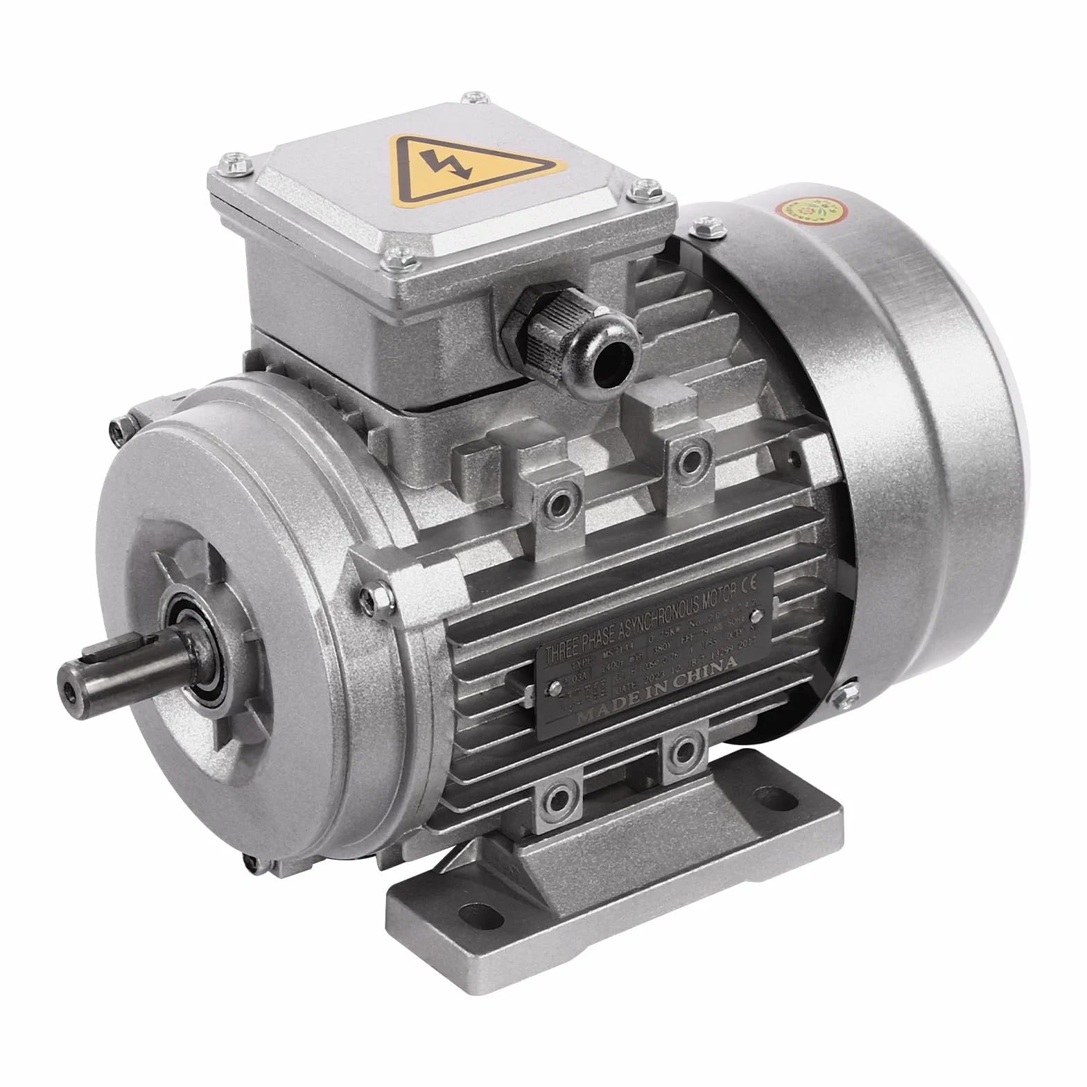 Motore elettrico asincrono trifase 0,75 KW 380 V 1400 giri/min IP55