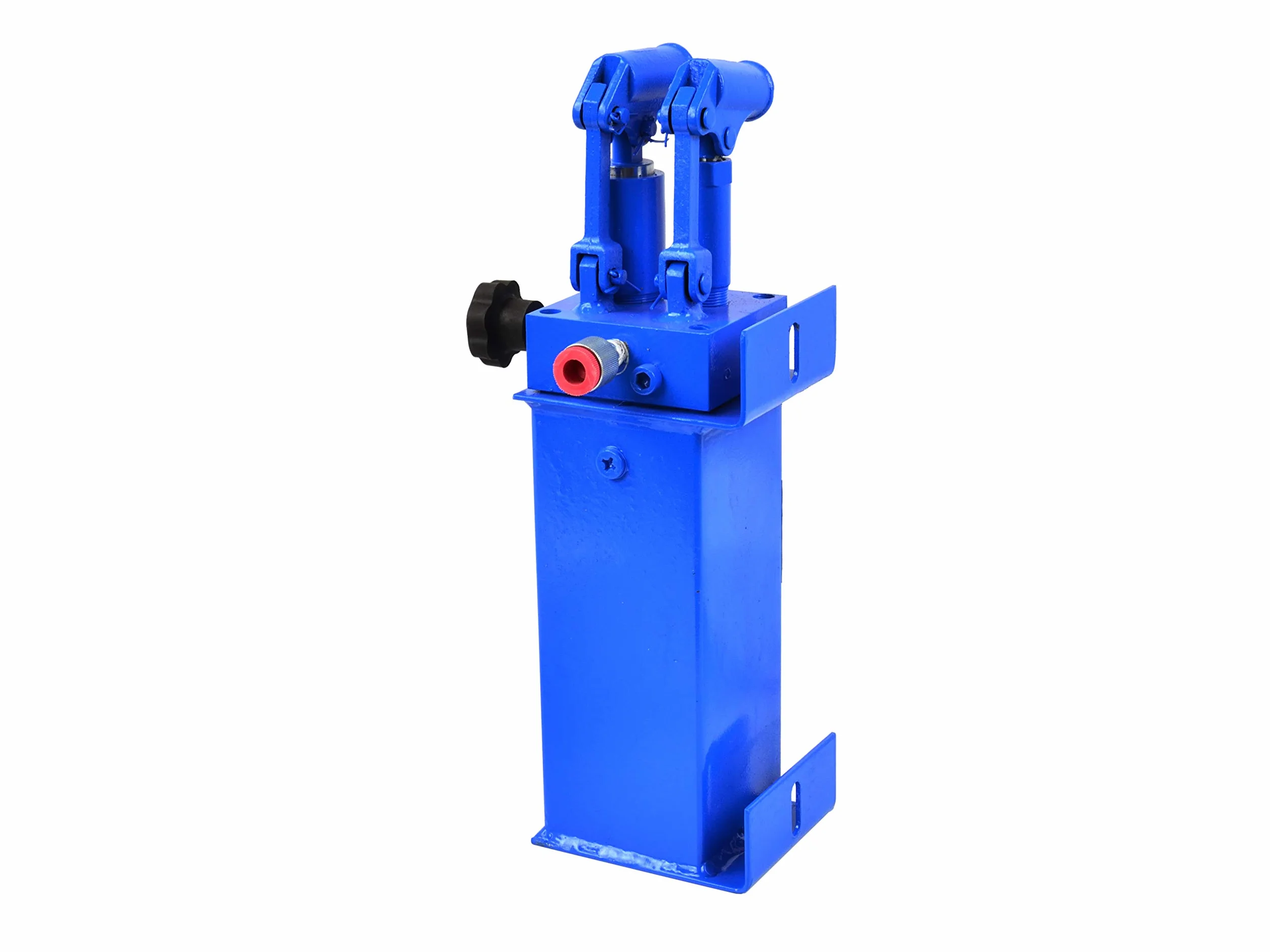 BSD Set Pressa Idraulica 30 Tonnellate - Pressa da Banco Idraulica, Pressa da Officina - Clindro Idraulico, Pompa Idraulica, Tubo Flessibile, Manometro