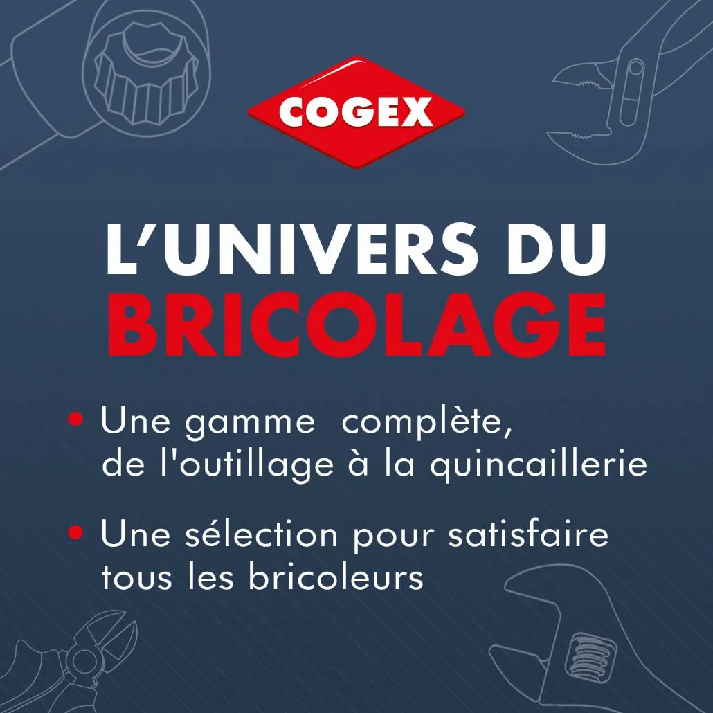 Cogex 30424 - Assortimento di mole per trapano