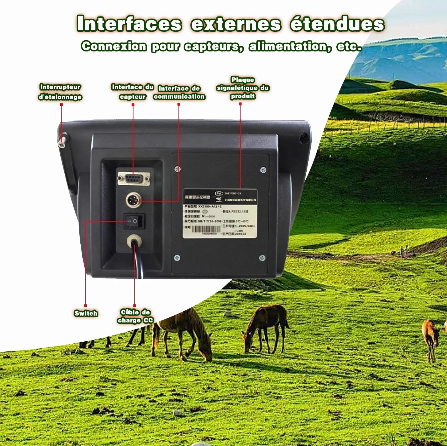 Kit Bilancia Bestiame Ad Alta Precisione, Kit Bilancia Con Cella Carico Per Piattaforma Con Indicatore Pesatura, Con Cella Carico A Compressione Su Trave In Acciaio