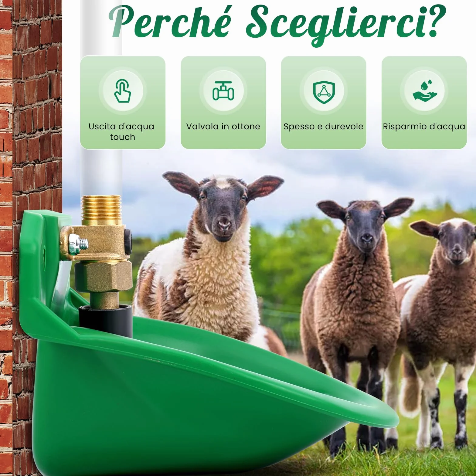 Piscina automatica per pecore, bevitori da bestiame con fori di scarico, approvvigionamento idrico automatico per cavalli, bovini, pecore, suini e cani, beve di salice, verde