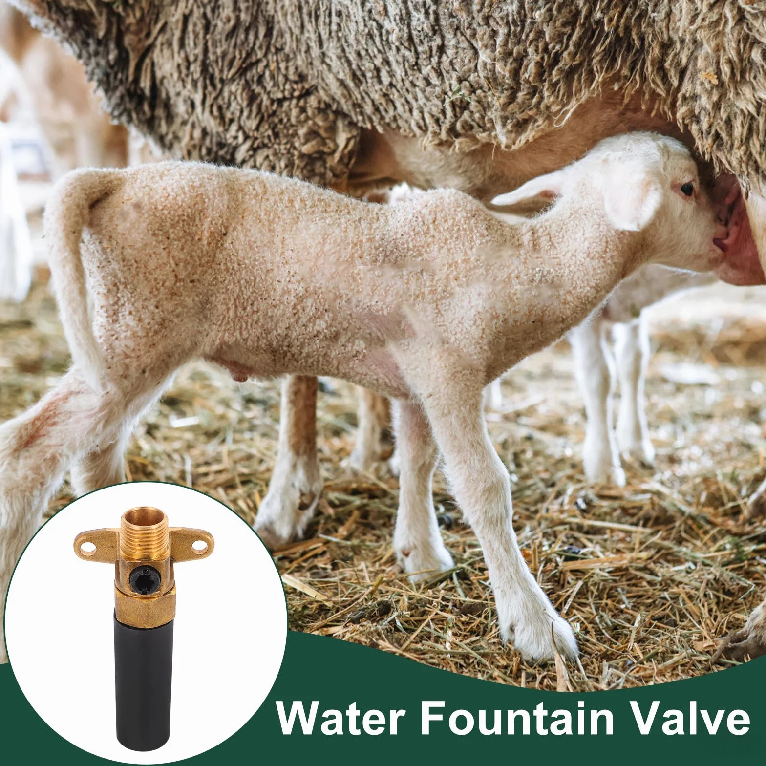Levemolo Valvola Automatica per Abbeveratoio Bestiame Raccordo Erogatore Acqua, Ricambio per Ciotole per Bovini, Suini e Ovini in Impieghi Gravosi