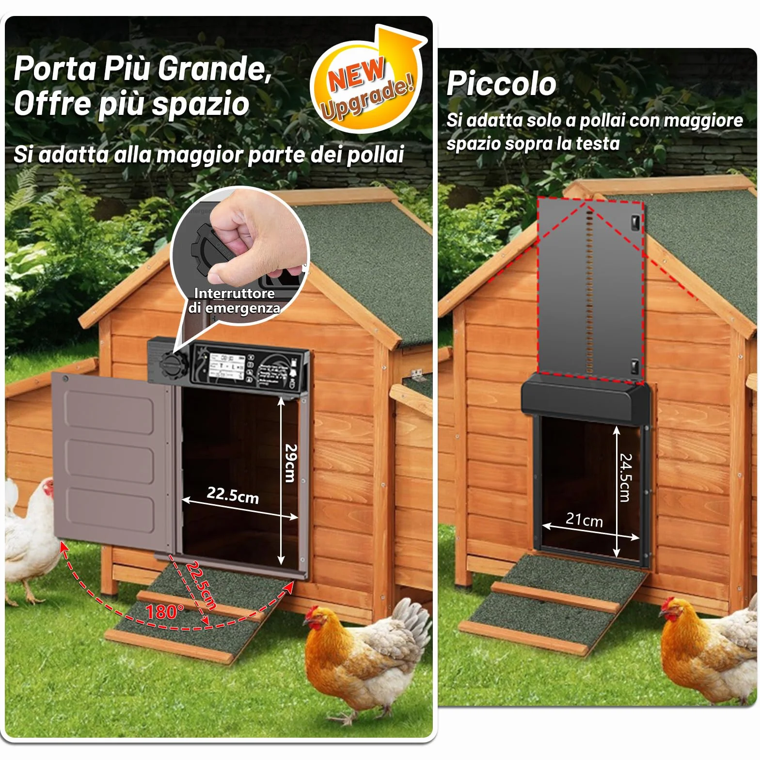 Porta pollaio Automatico con Display, Timer, Antipizzicamento, Impermeabile