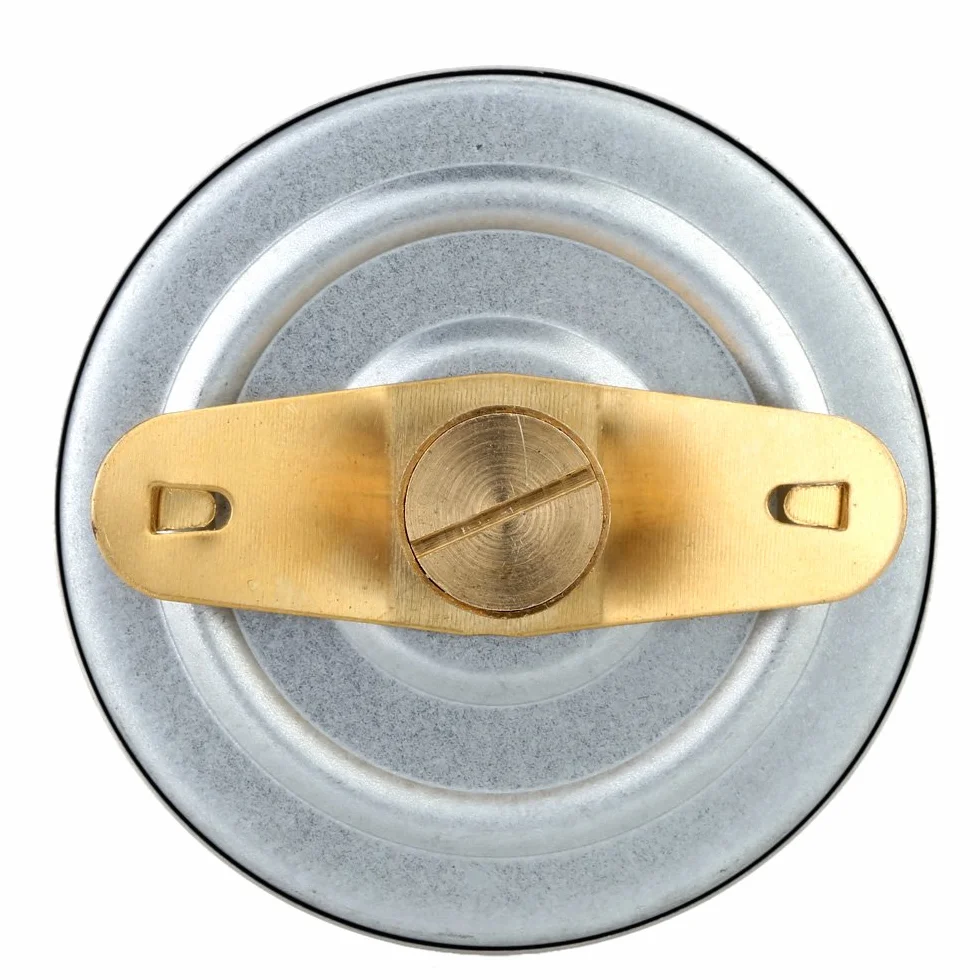 Milageto Termometro per Tubi Industriali da 63 Mm con Quadrante con