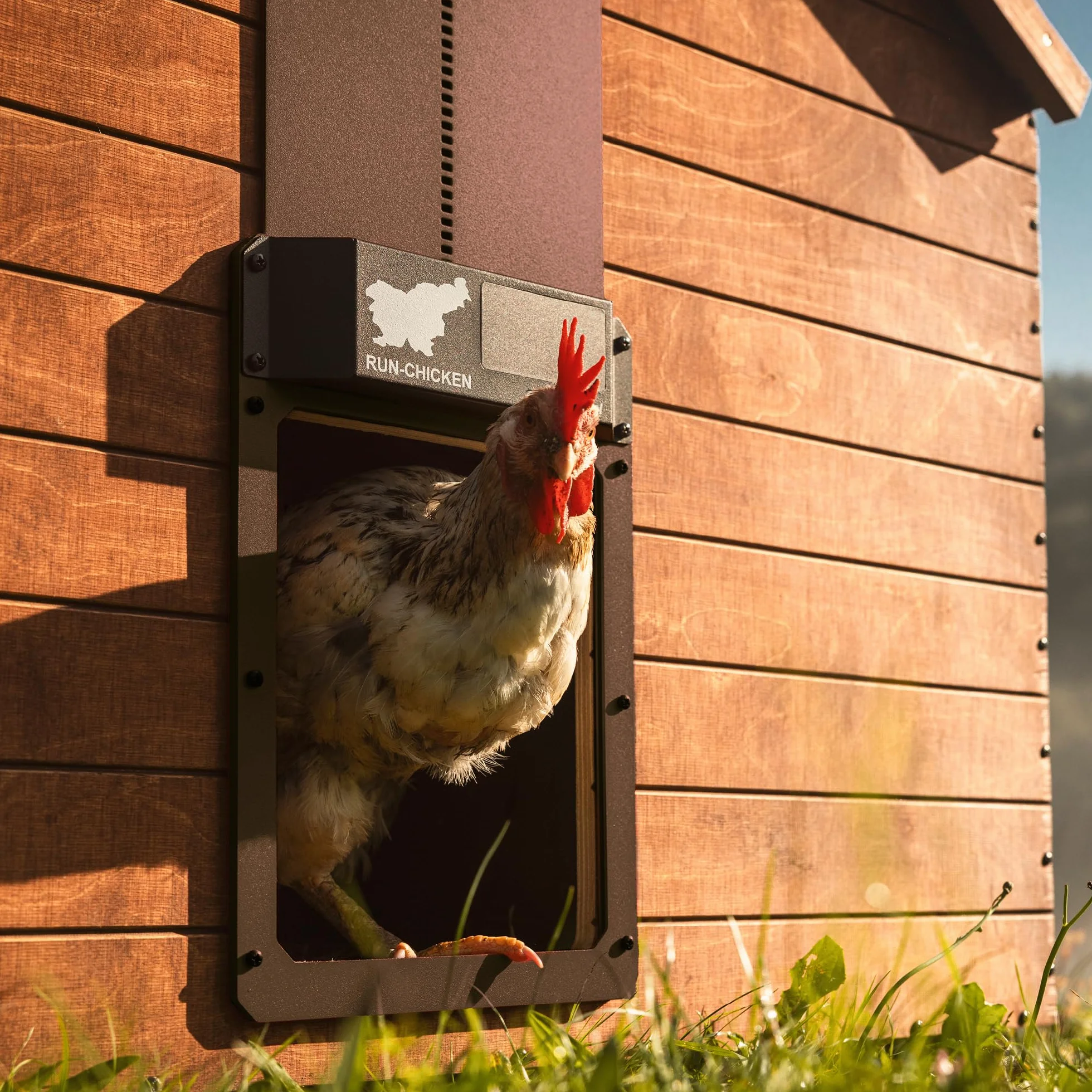 RUN-CHICKEN Porta (marrone) Solar Chicken Coop Door, automatico pollaio elettrico con timer, sensore luce, batteria, energia solare