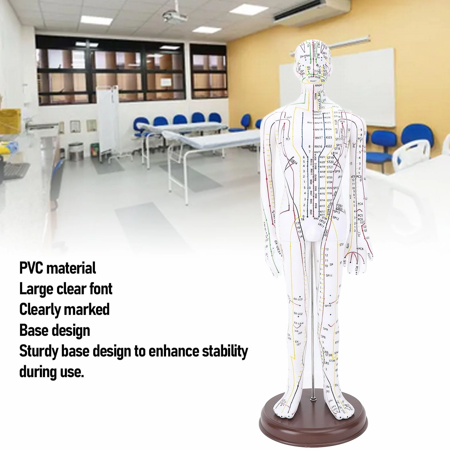 Modello per Agopuntura, Bambola per Agopuntura Professionale per Corpo Umano in PVC 20,47 Pollici con Base per Dimostrazione Didattica, Incisione Ad Alta Definizione (Maschio)