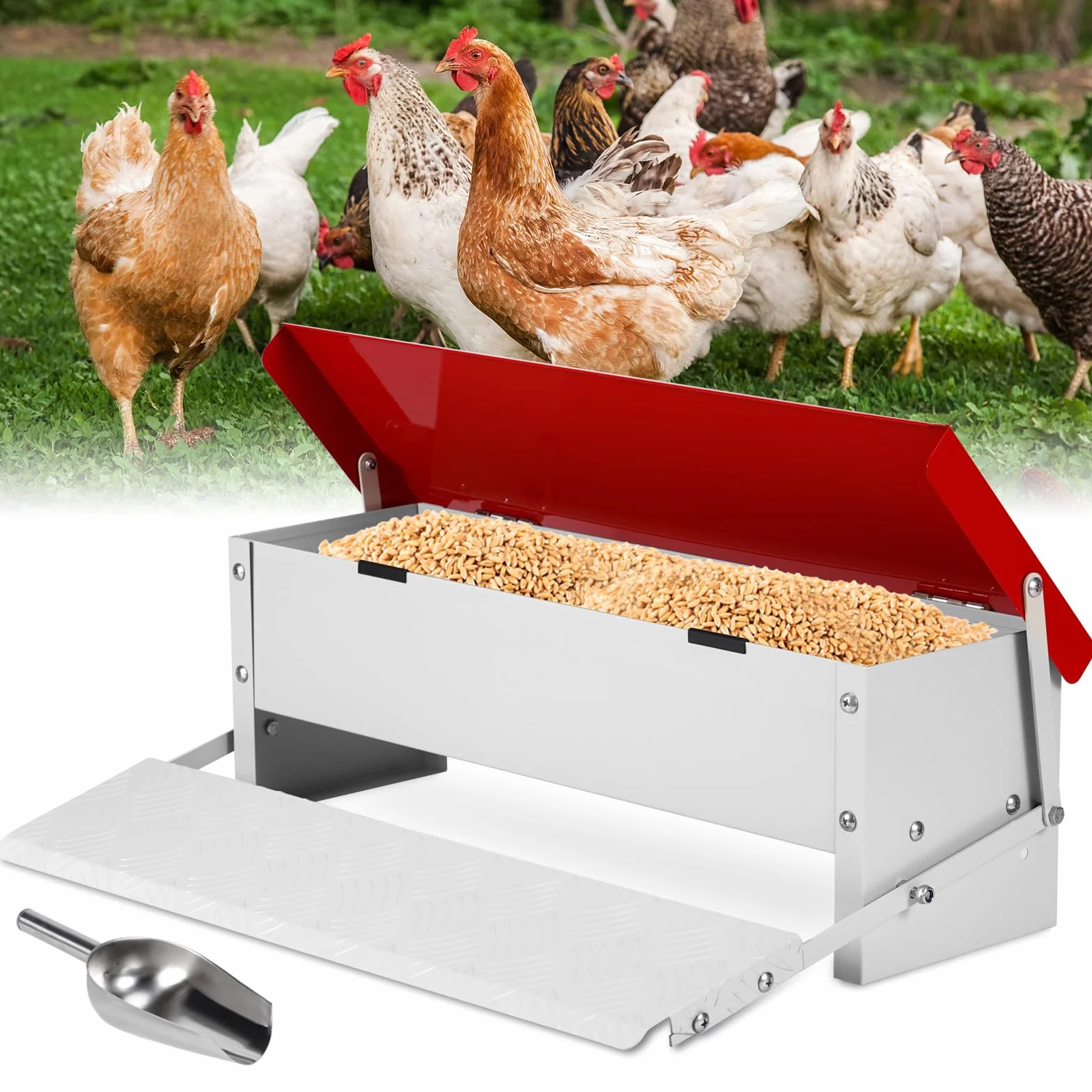 5kg Mangiatoia Automatica per Polli Mangiatoia per Pollame a Pedale Grande a Prova di Ratto Con Coperchio Antipioggia Mangiatoie per Polli All'Aperto per Anatra Fagiani Galli Bantam