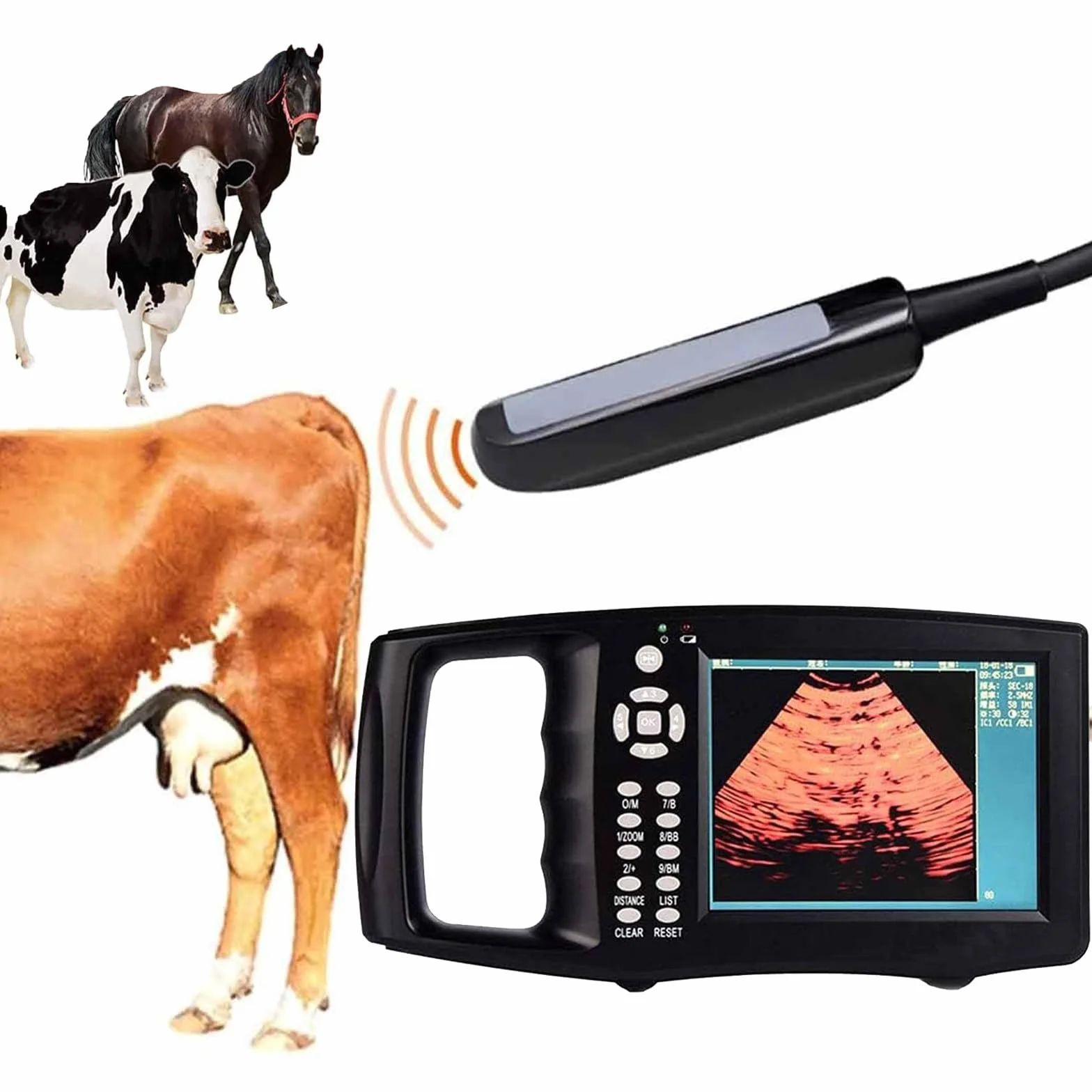 Scanner Ad Ultrasuoni Portatile per Veterinaria, 3 Opzioni Sonda, (B,M,BM, B+B, 4B) modalità Display, Schermo HD da 5,6 Pollici, per Pecora, Cane, Gatto, Maiale, Cavallo, Mucca,C