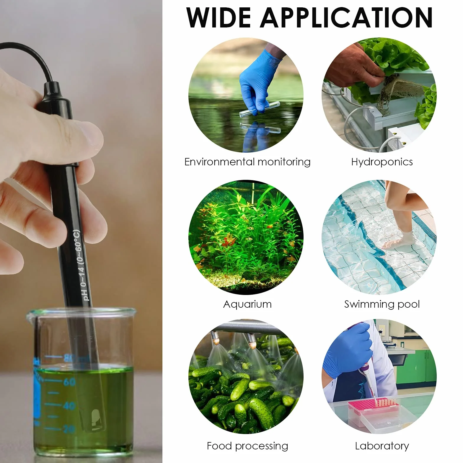 Elettrodo pH di alta Precisione con Polvere di Calibrazione, Sonda 0-14 pH con connettore BNC e cavo da 300 cm per un'ampia Applicazione