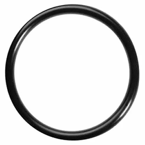 GUARNIZIONE O-RING PER MACCHINE DA CAFFÈ CIALDE ESE44 (DIDIESSE, FABER, LA PICCOLA, GRIMAC, SPINEL, UNION GROUP)