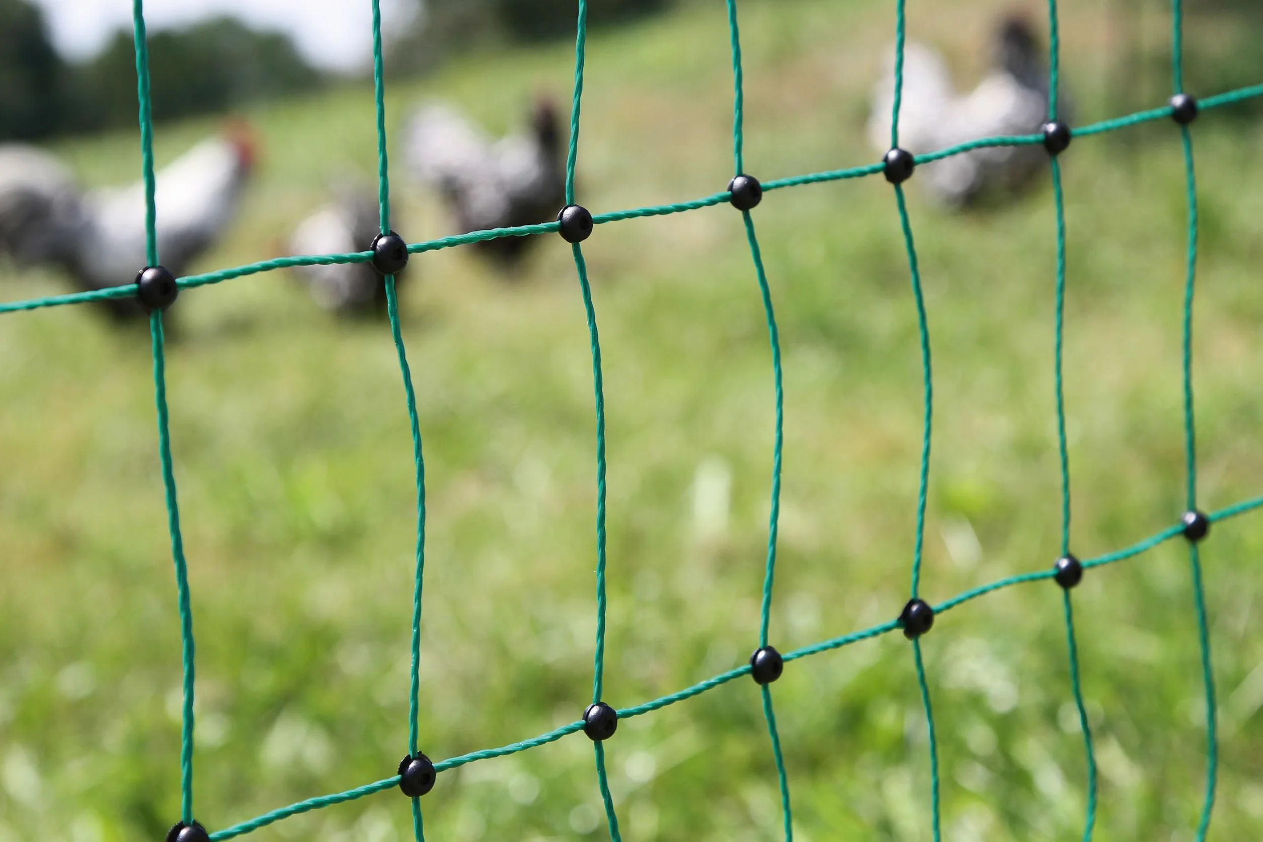 Kerbl Hobbyfarming PoultryNet, 106cm, 50m, Rete per pollame, Rete per recinti, Senza Corrente, Punta Doppia, Verde, 15 Pali, polli, oche, Tacchini, 3 Anni di Garanzia, stabilità ai Raggi UV
