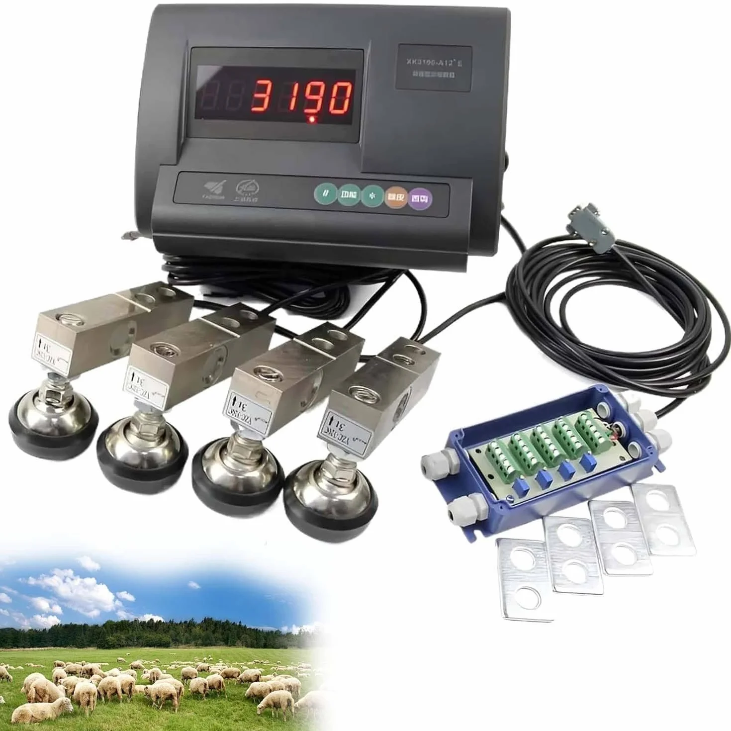Set di bilance per Bestiame, Bilancia con Celle carico ad Alta precisione 4 e Display a LED. elettroniche Bestiame Scatola Giunzione. Bilance bovini, suini, capre, 5000 kg