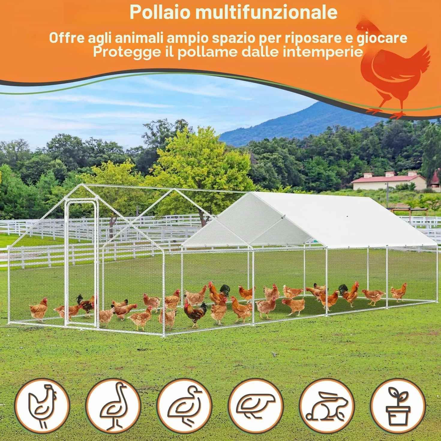 Randaco 3 x 8 x 2 m, gallina a ruota libera, XXL in acciaio zincato, con tetto parasole e porta per animali domestici, gabbia per uccelli, piccoli animali, con lucchetto